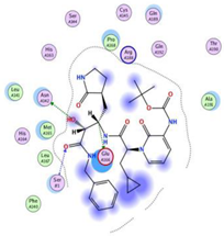 Metabolites 12 01109 i013