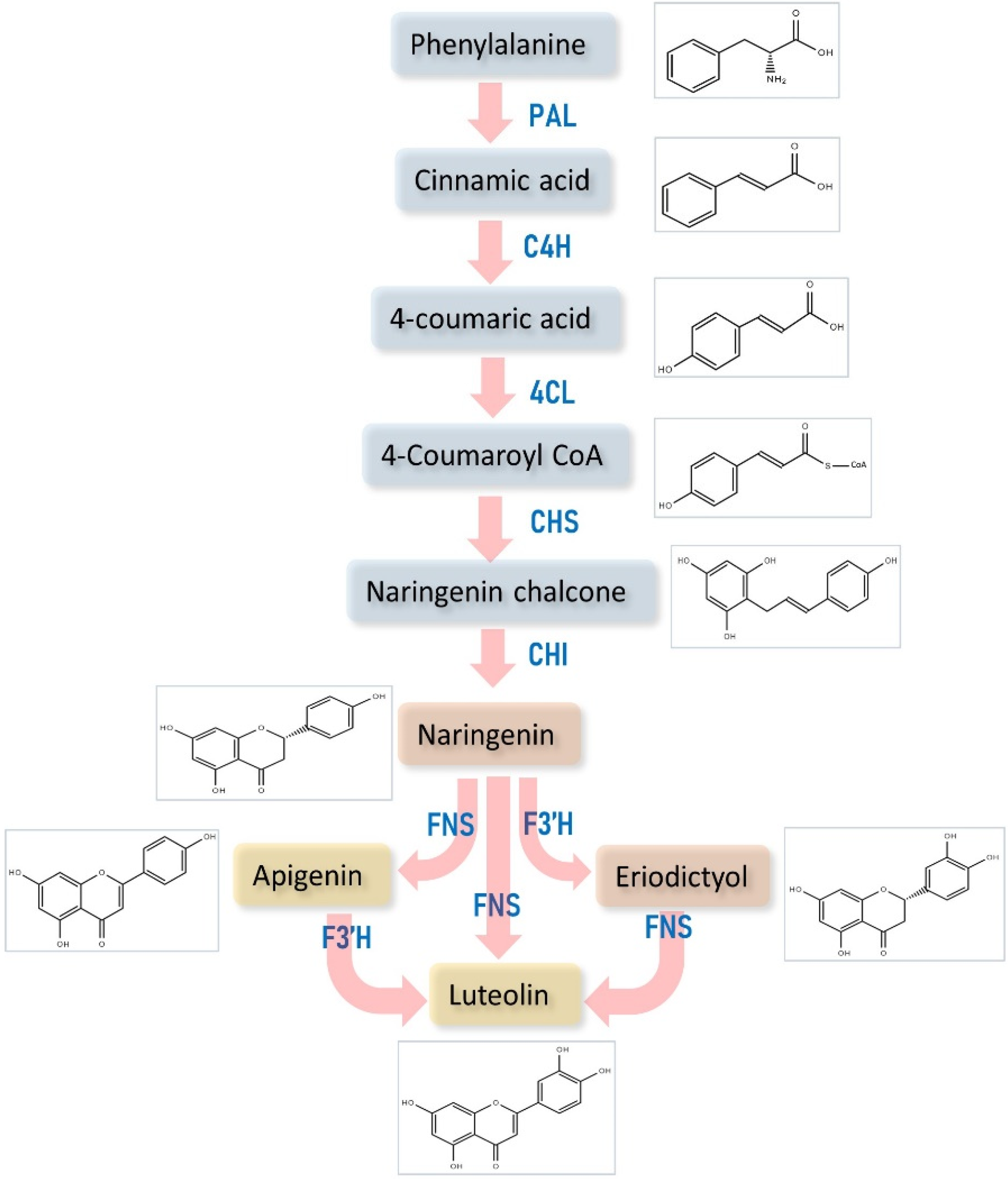 Metabolites 12 01145 g003