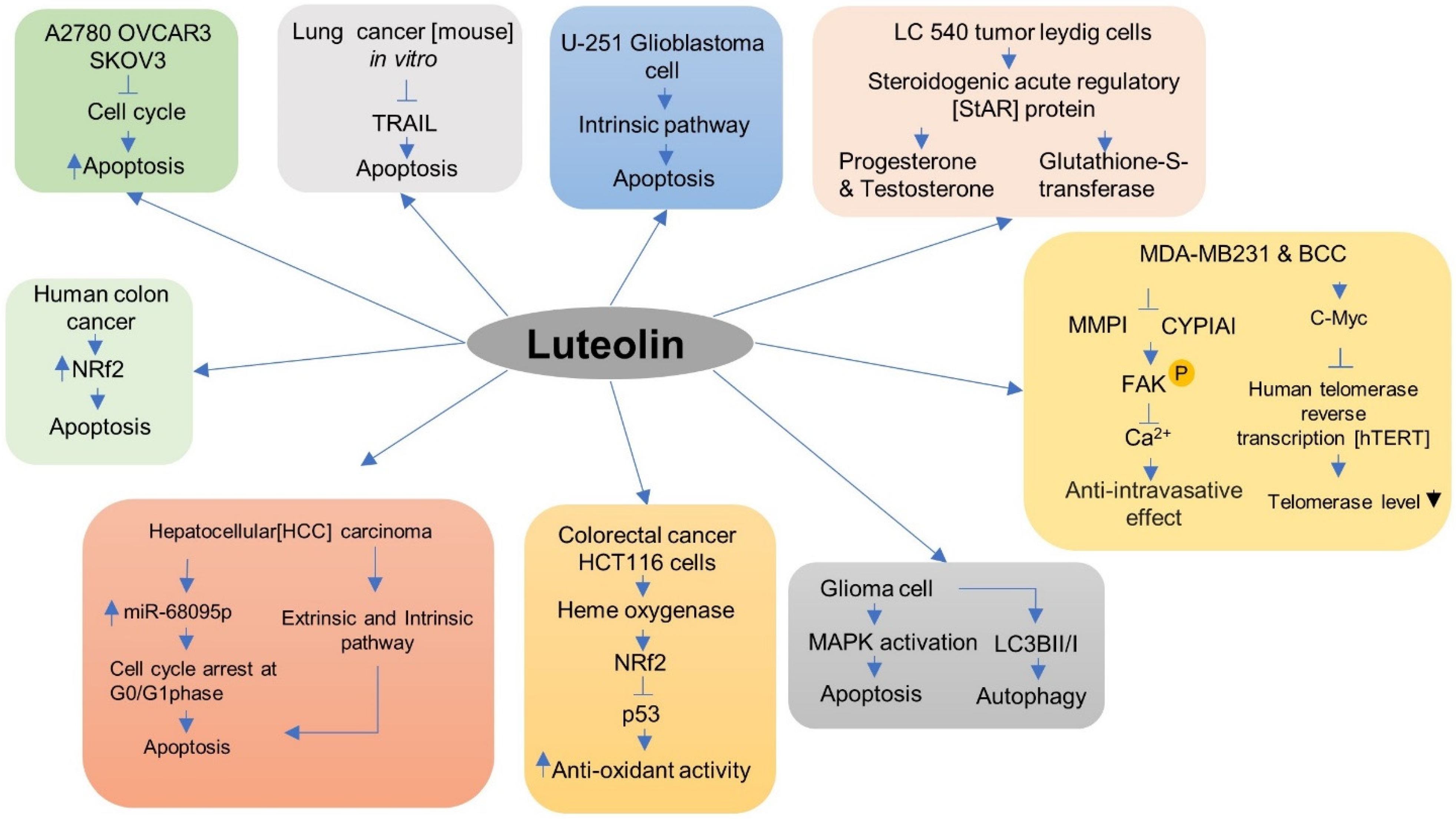 Metabolites 12 01145 g004