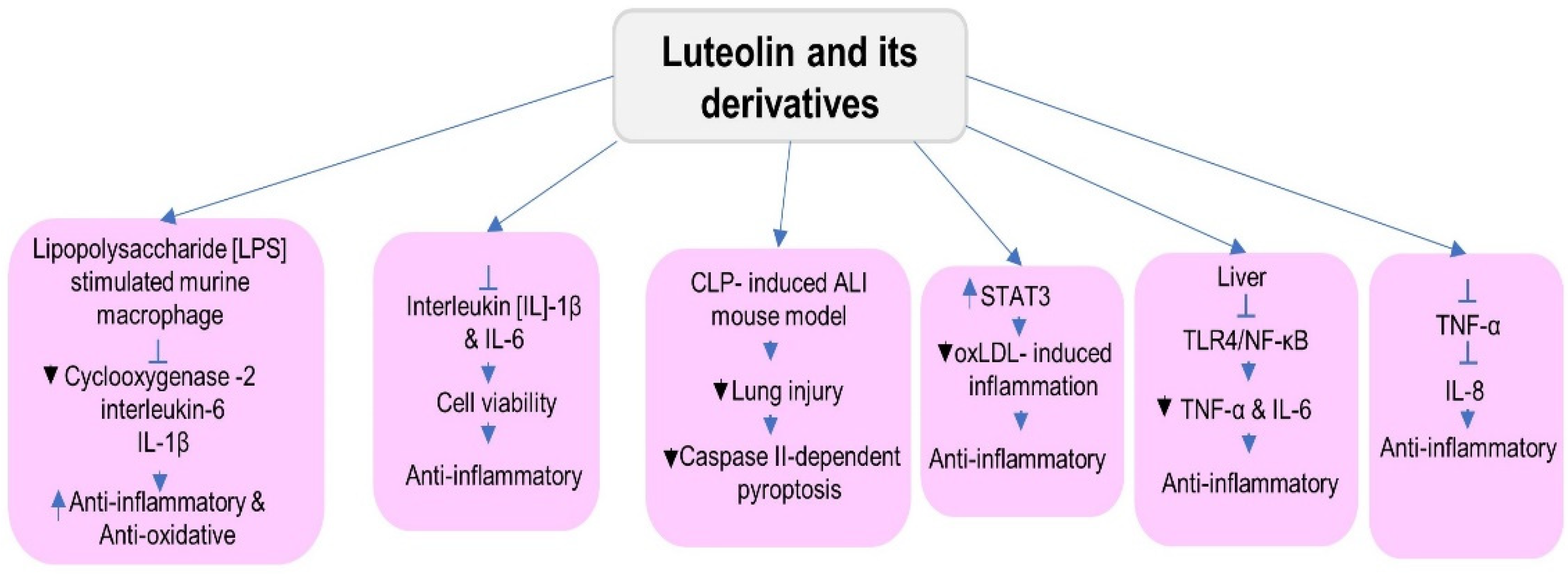 Metabolites 12 01145 g005