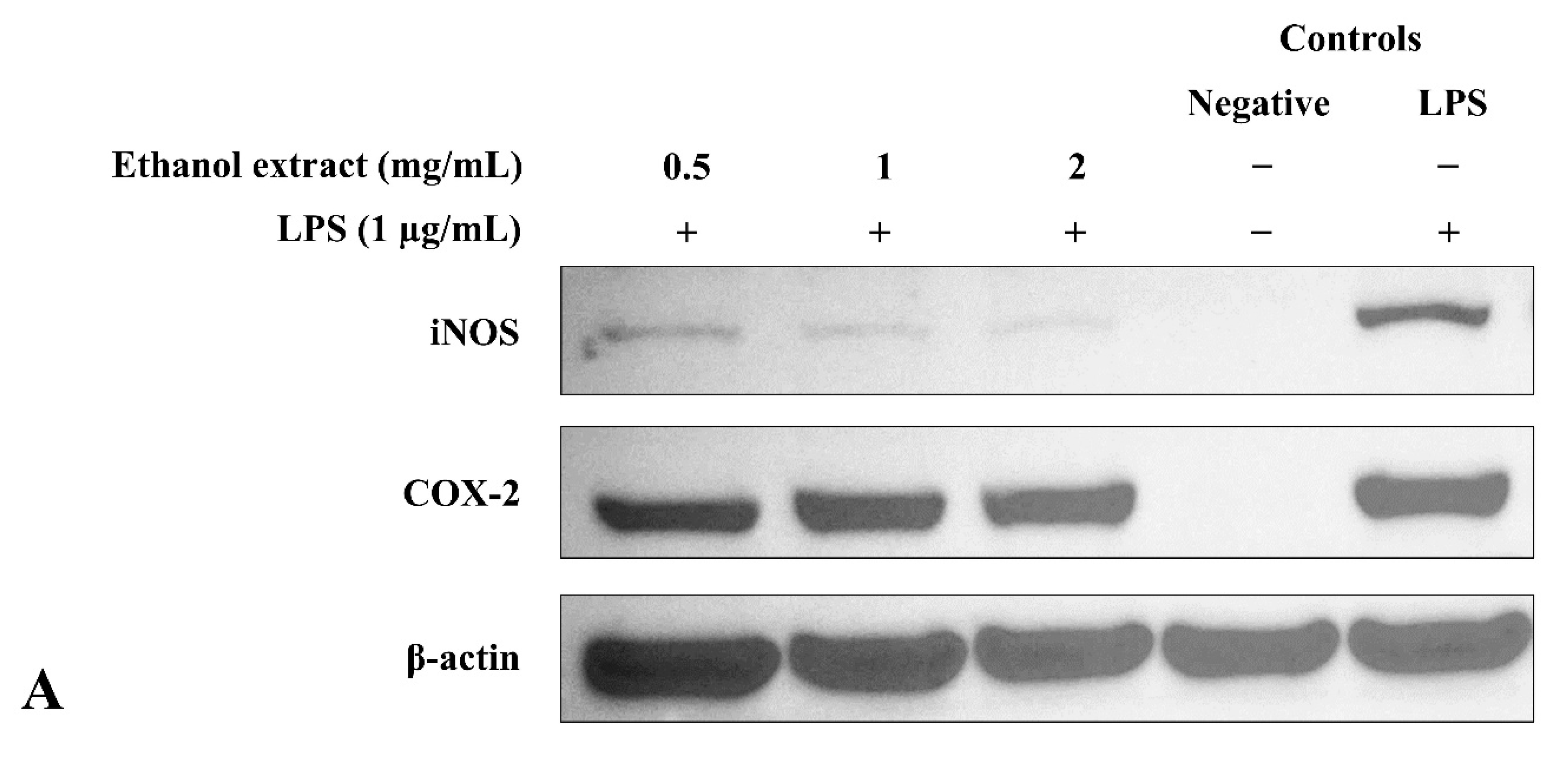 Metabolites 12 01147 g005a Metabolites 12 01147 g005a