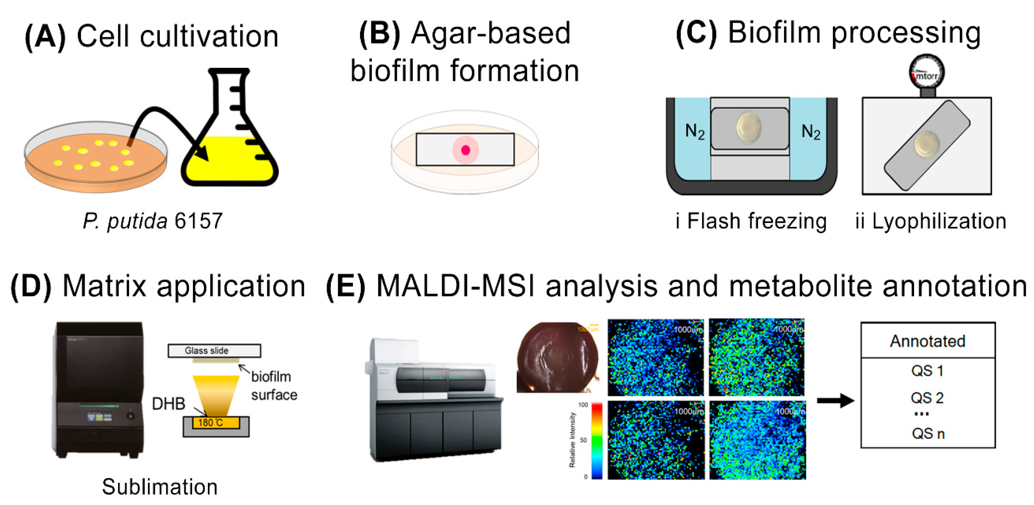 Metabolites 12 01148 g001 Metabolites 12 01148 g001