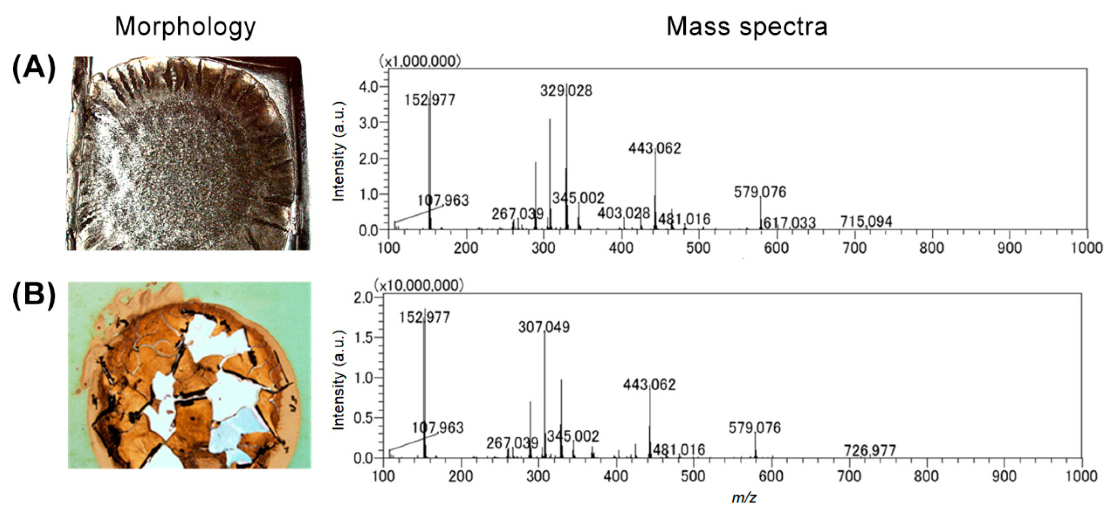 Metabolites 12 01148 g002 Metabolites 12 01148 g002