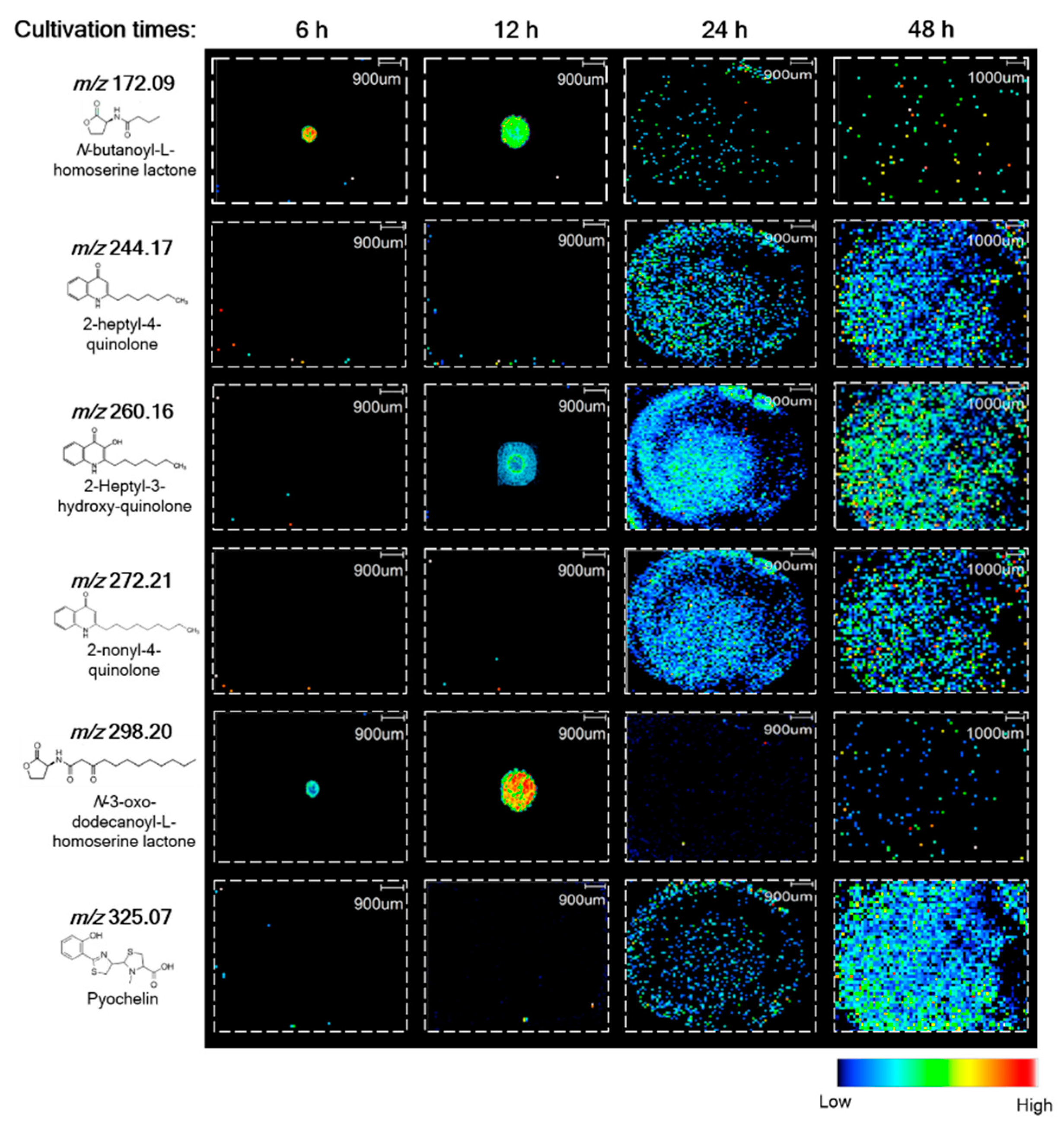 Metabolites 12 01148 g003 Metabolites 12 01148 g003