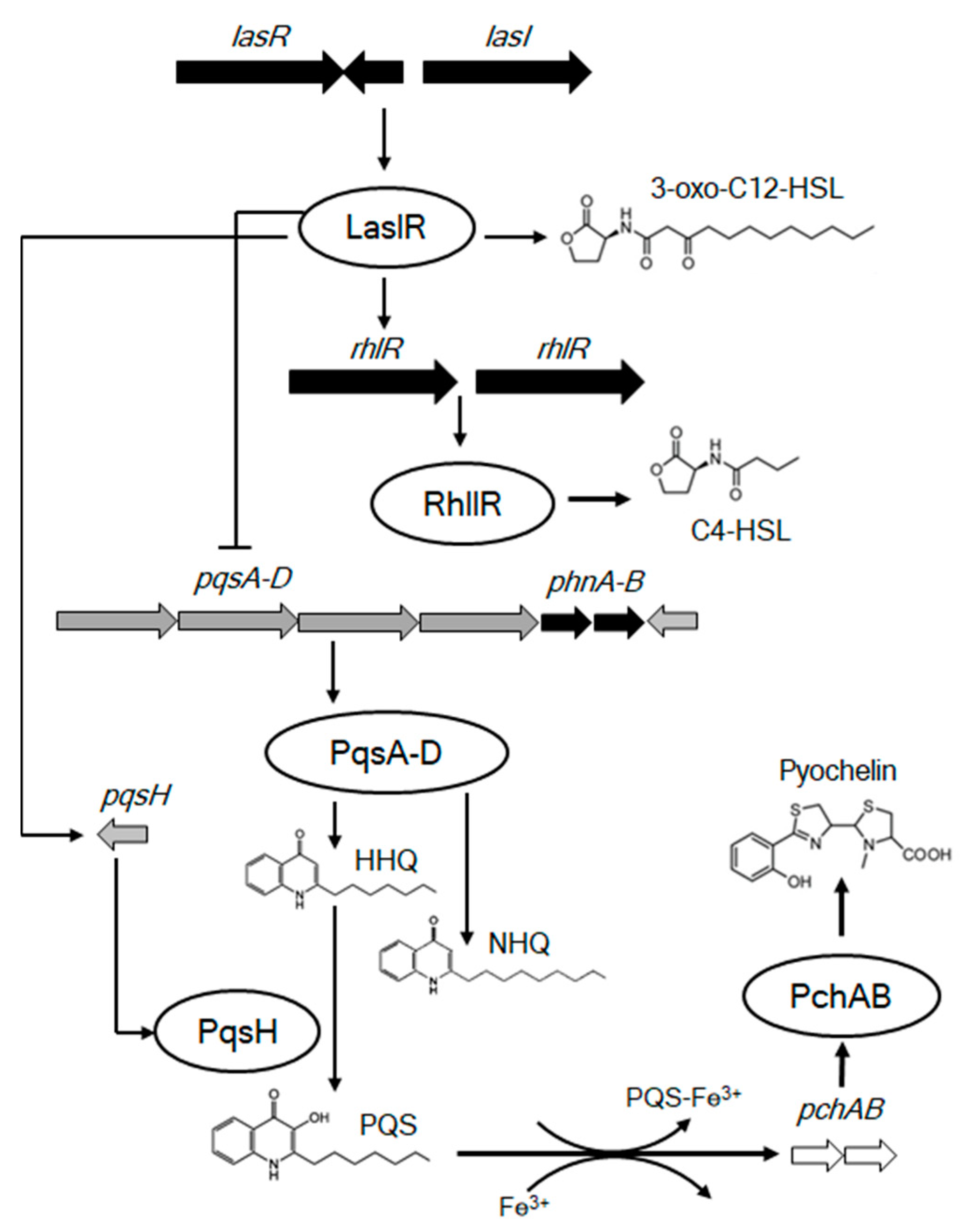 Metabolites 12 01148 g004 Metabolites 12 01148 g004