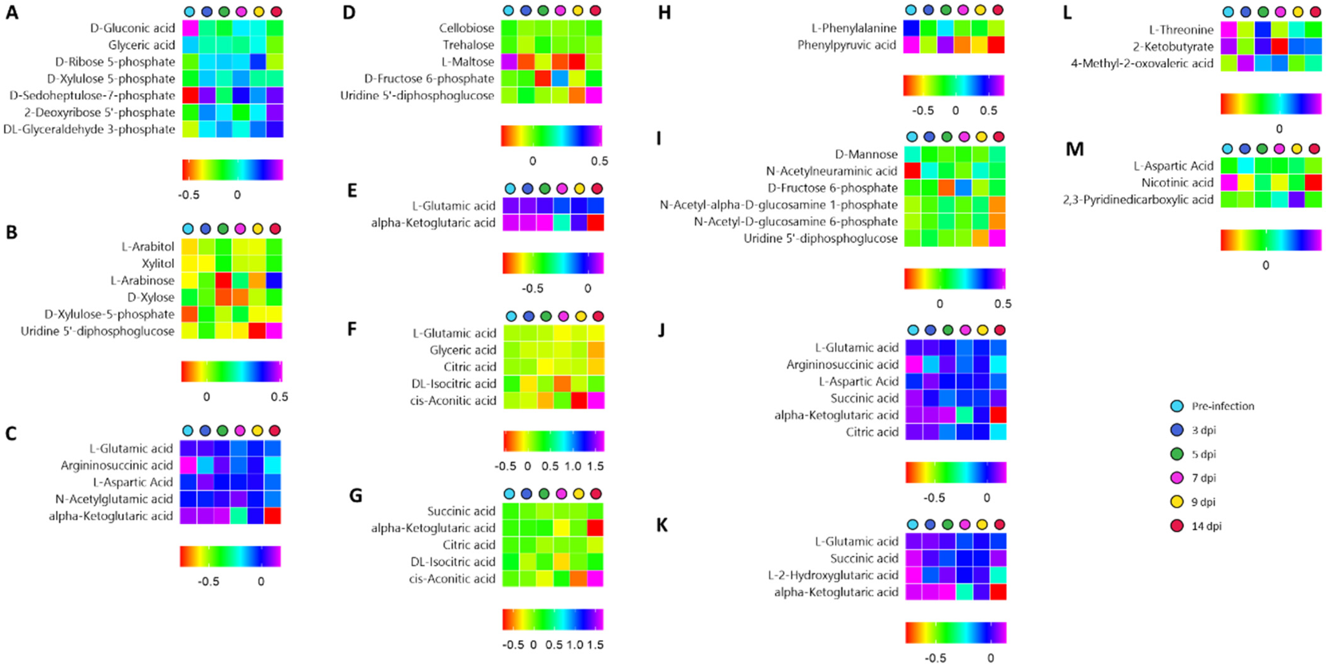 Metabolites 12 01151 g004