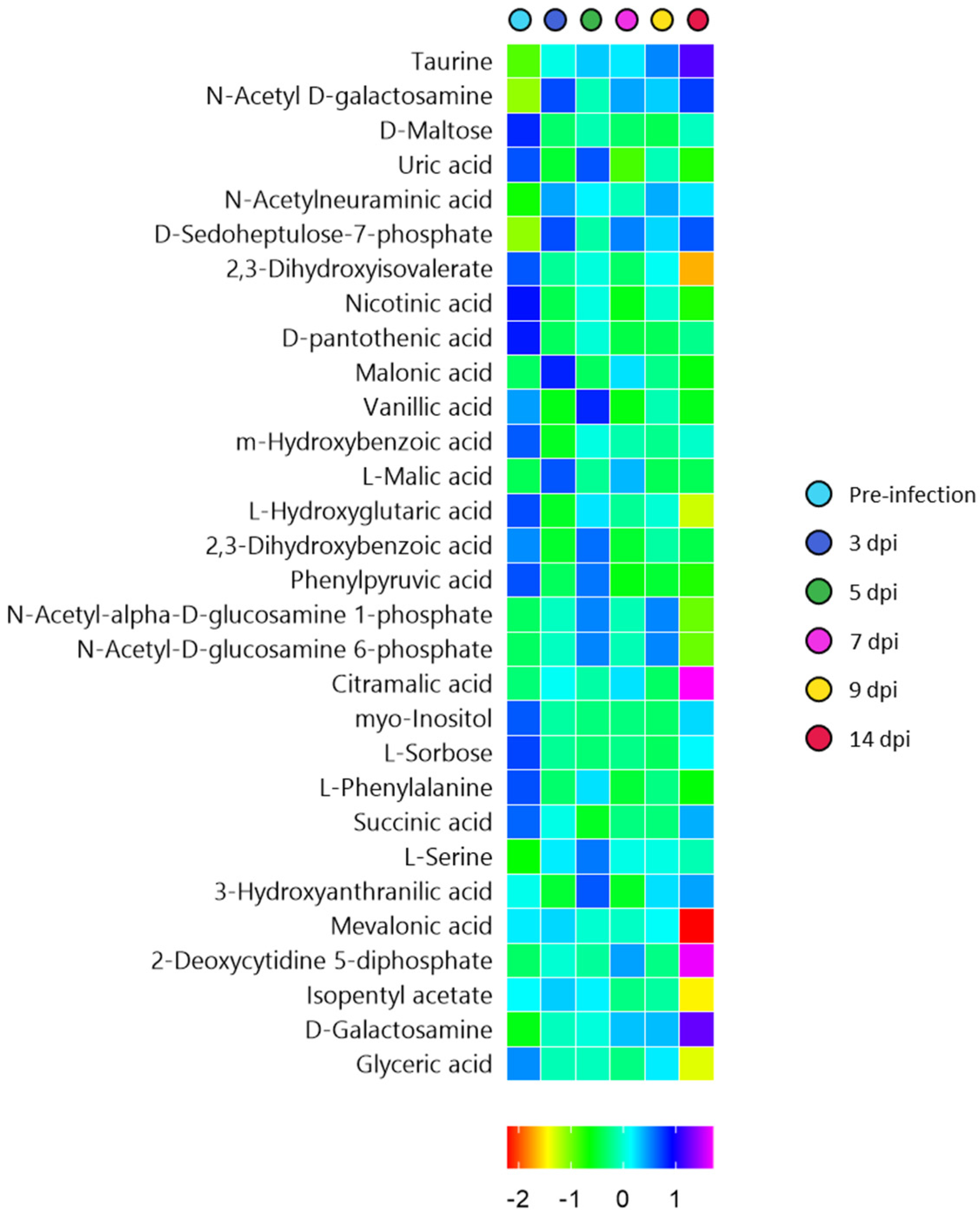 Metabolites 12 01151 g005