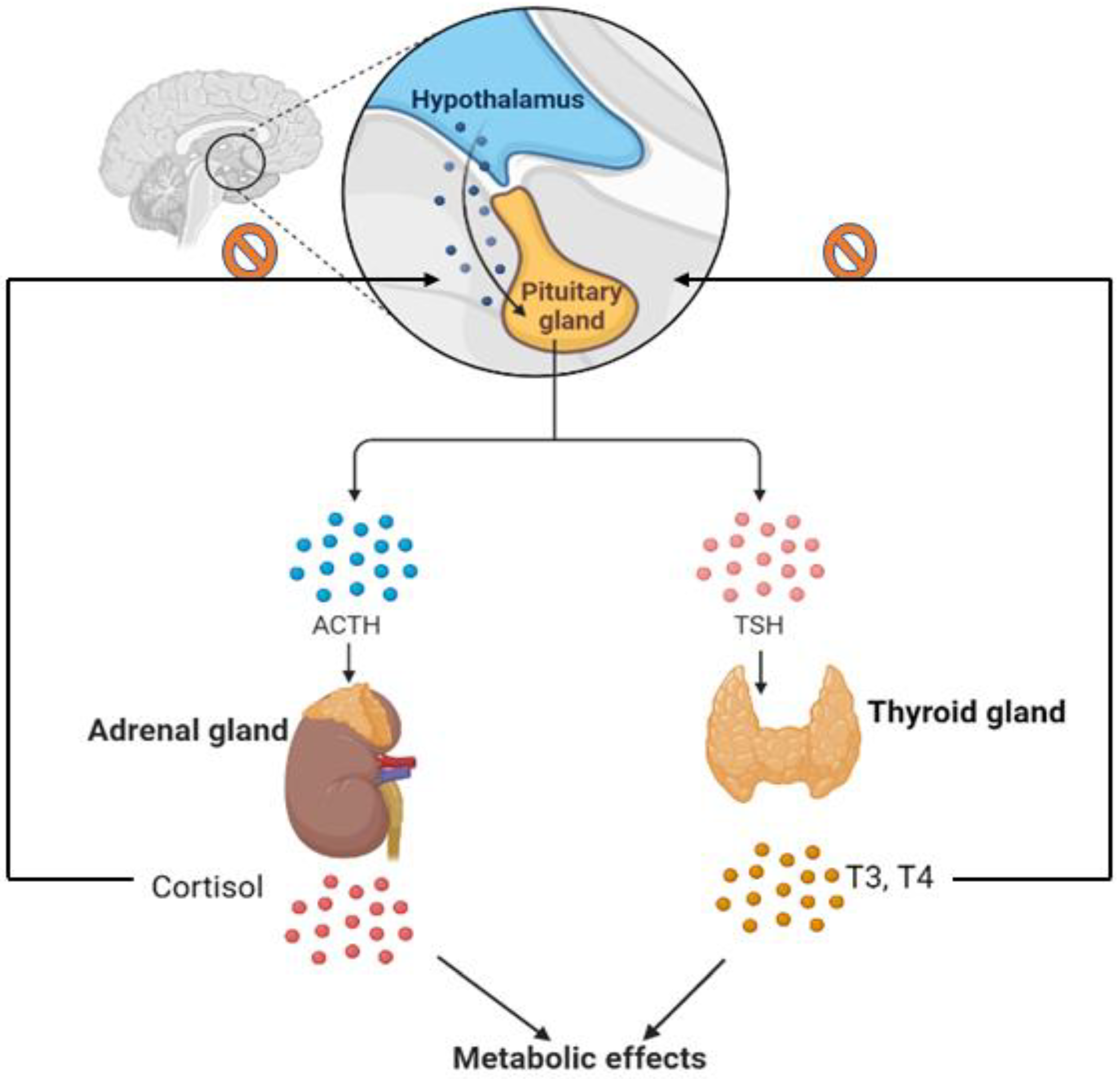 Metabolites 12 01154 g004