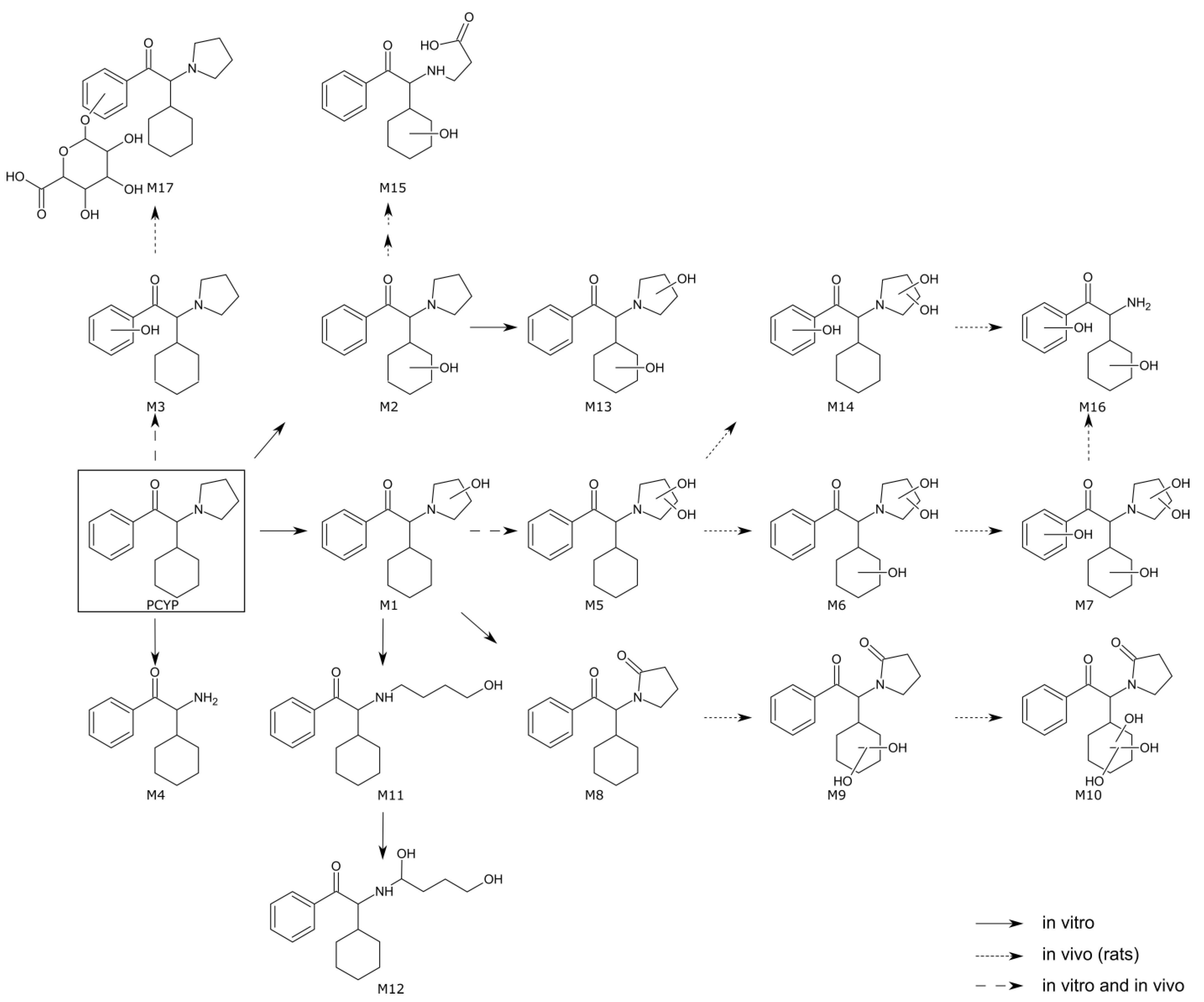 Metabolites 12 01209 g001 Metabolites 12 01209 g001