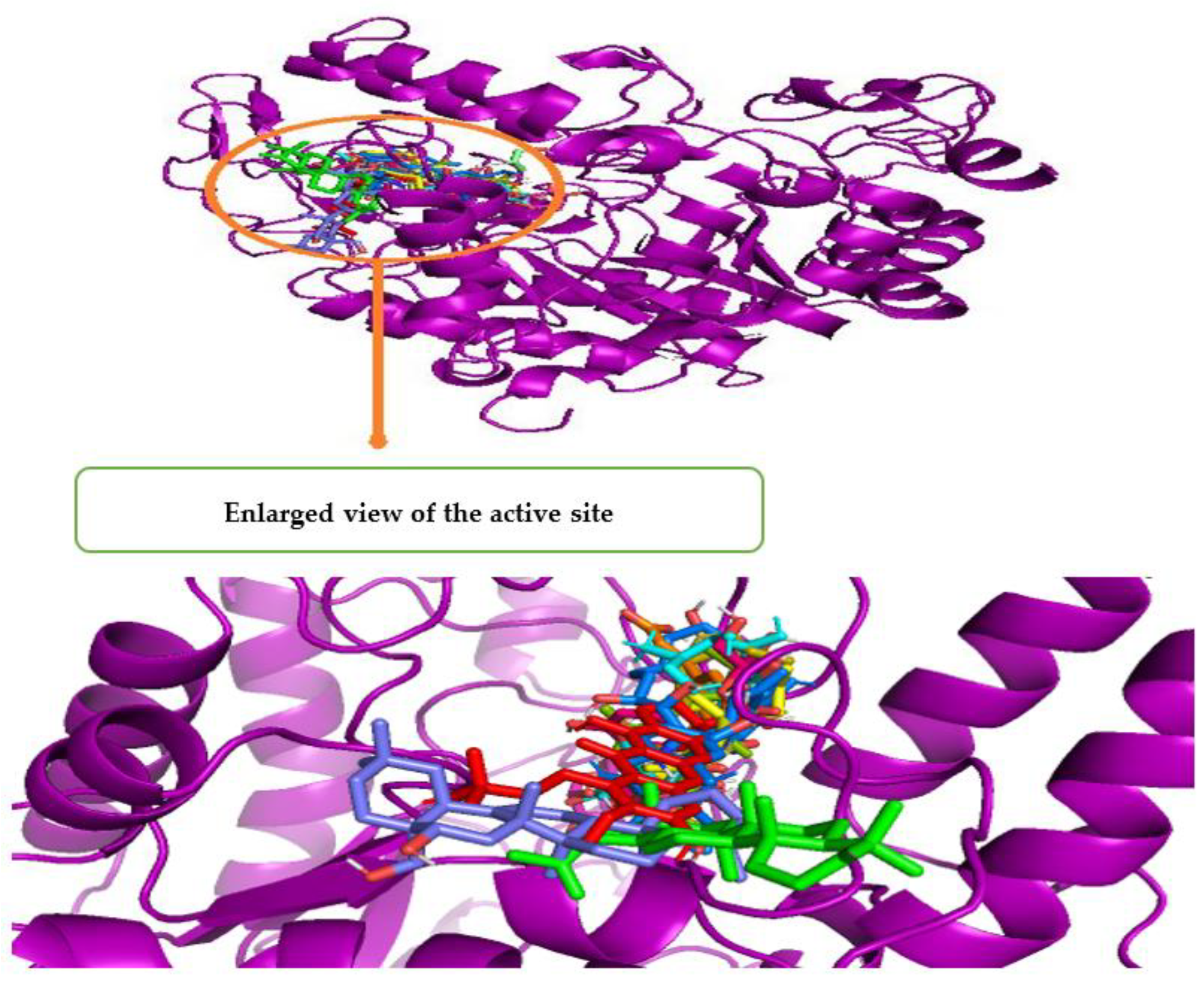 Metabolites 12 01267 g003