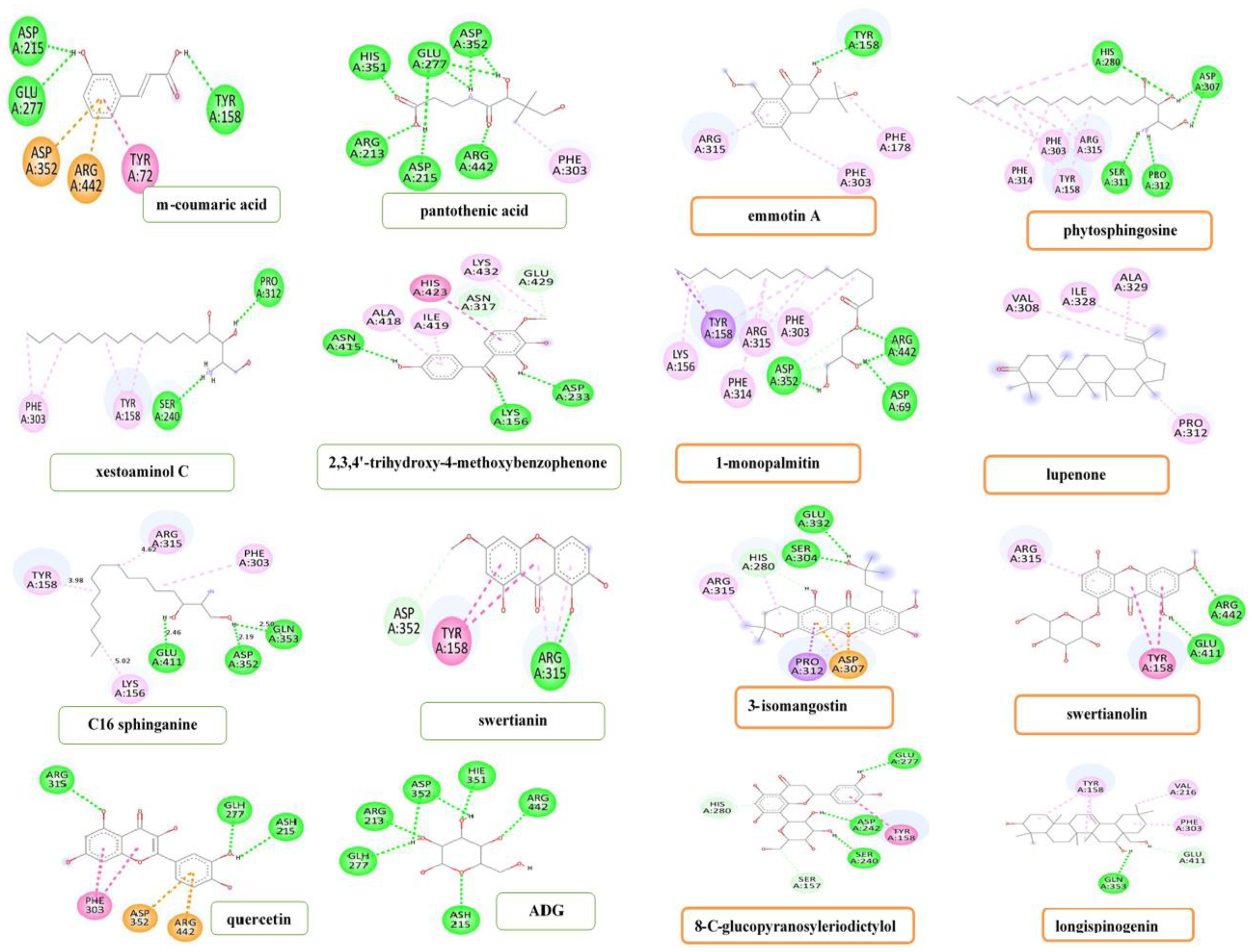 Metabolites 12 01267 g004