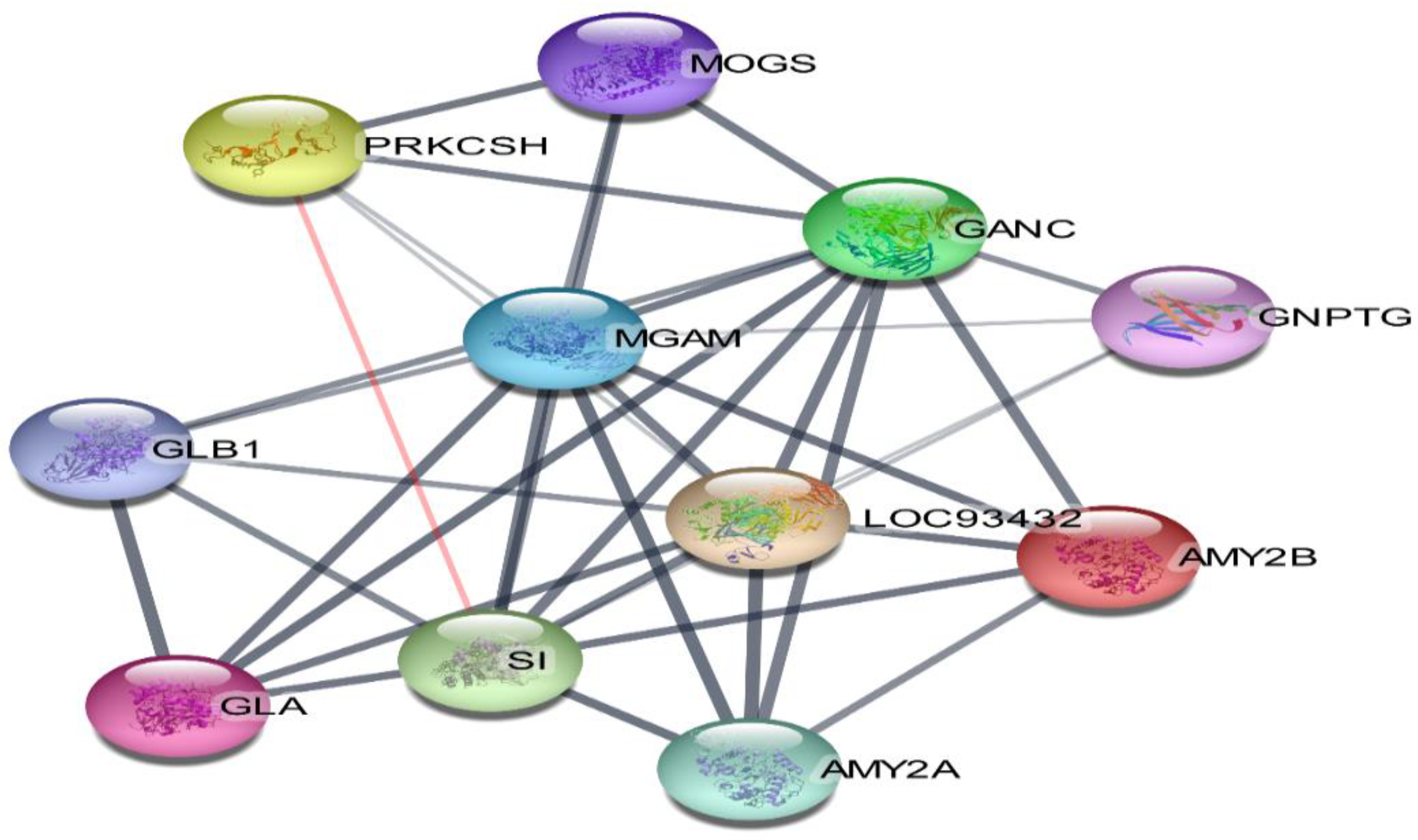 Metabolites 12 01267 g011