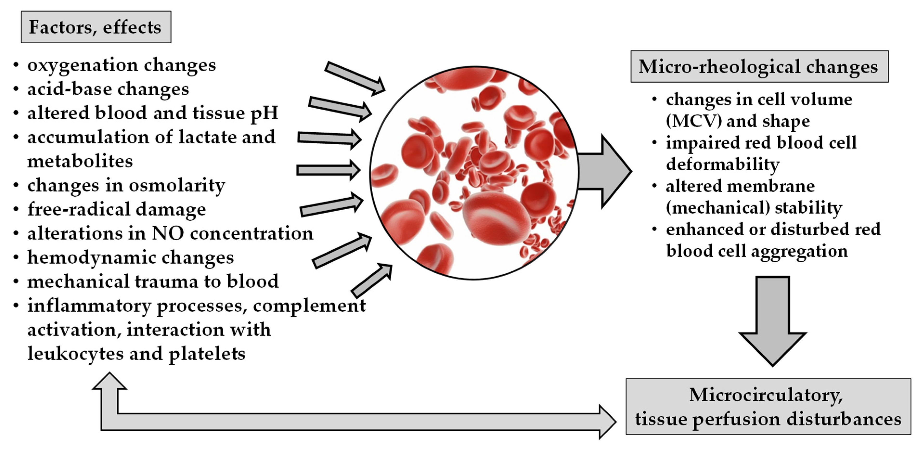 Metabolites 13 00004 g001