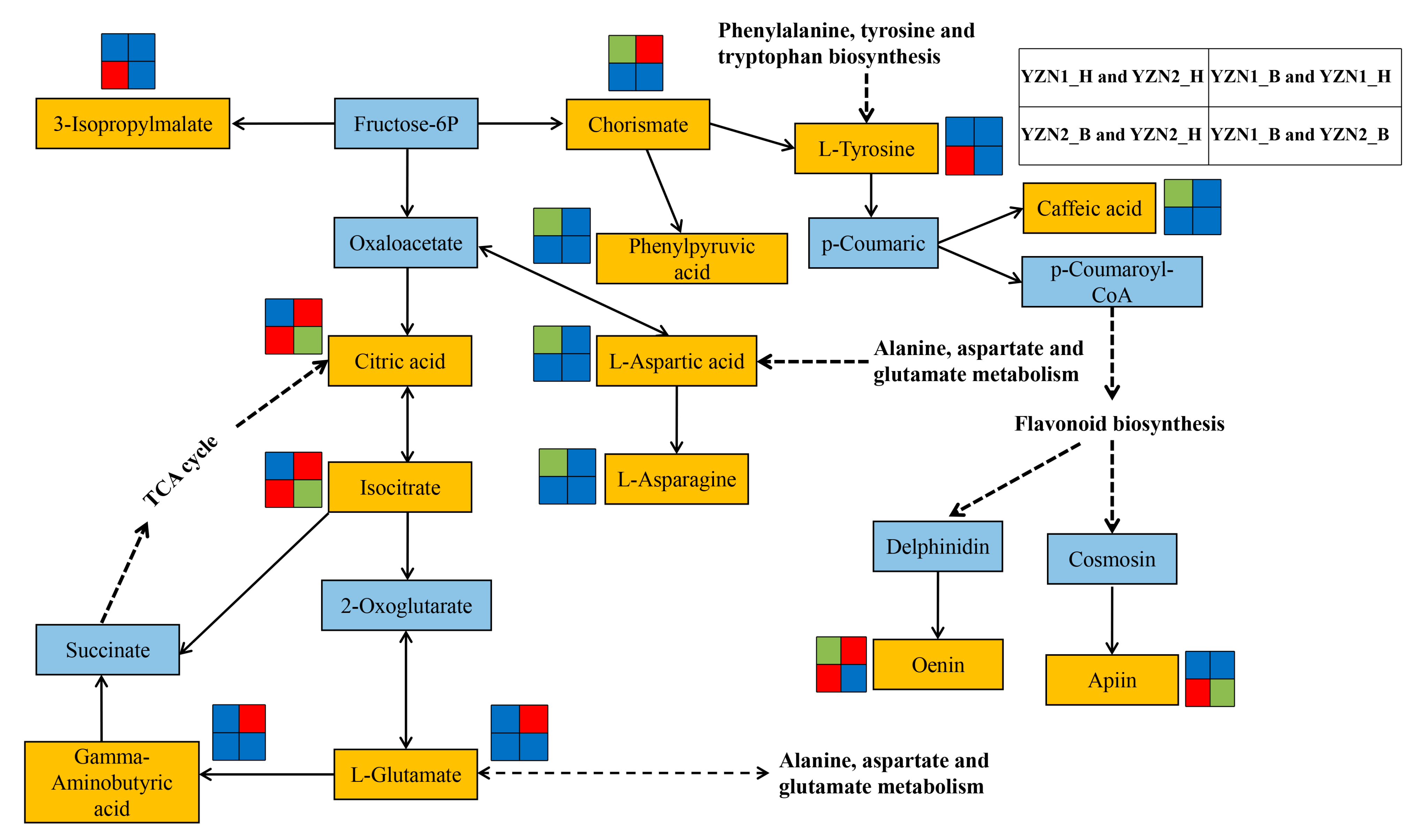 Metabolites 13 00007 g005