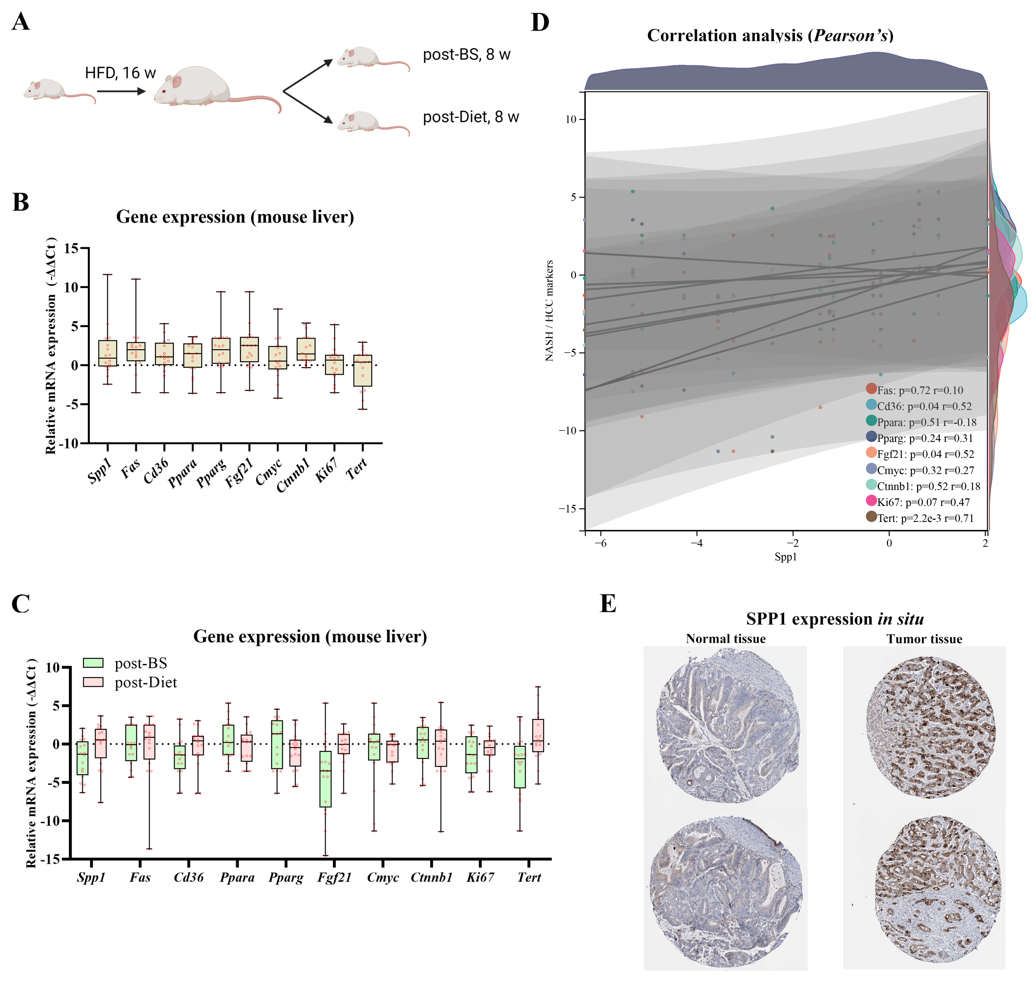 Metabolites 13 00011 g006