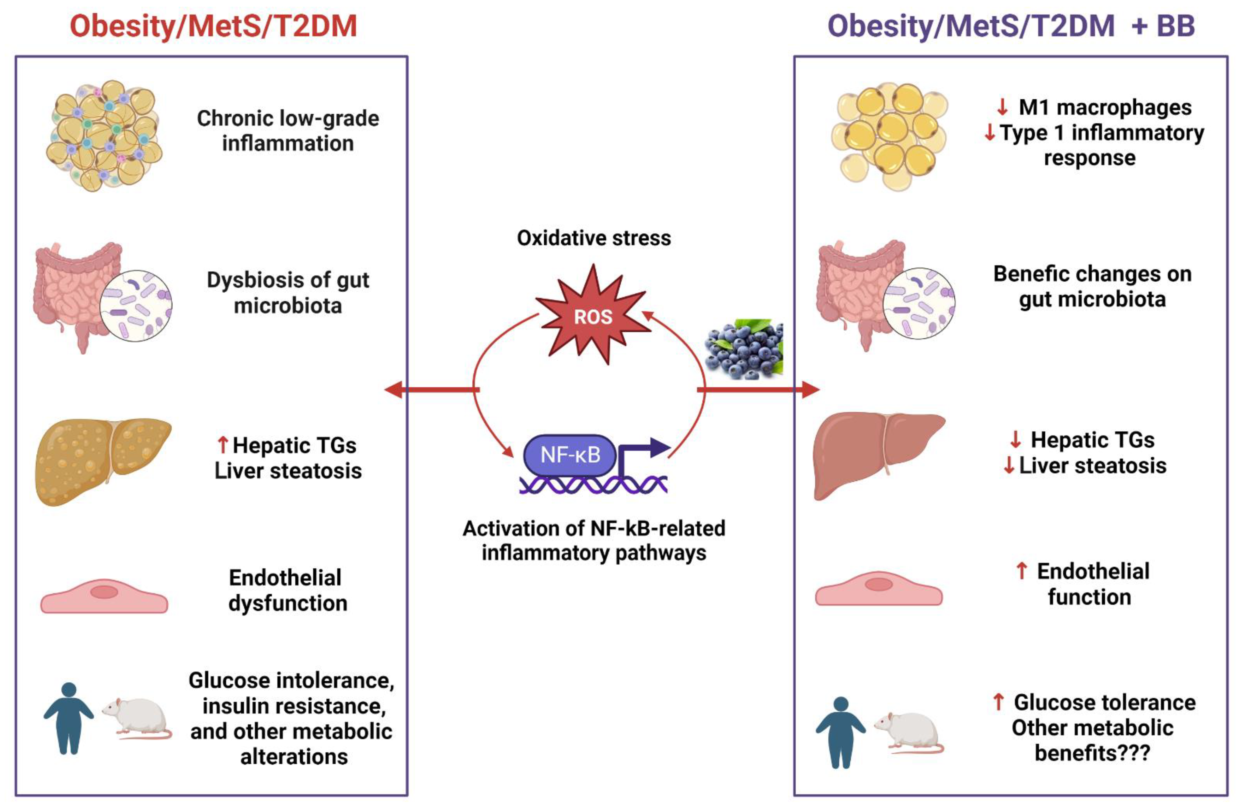 Metabolites 13 00019 g002