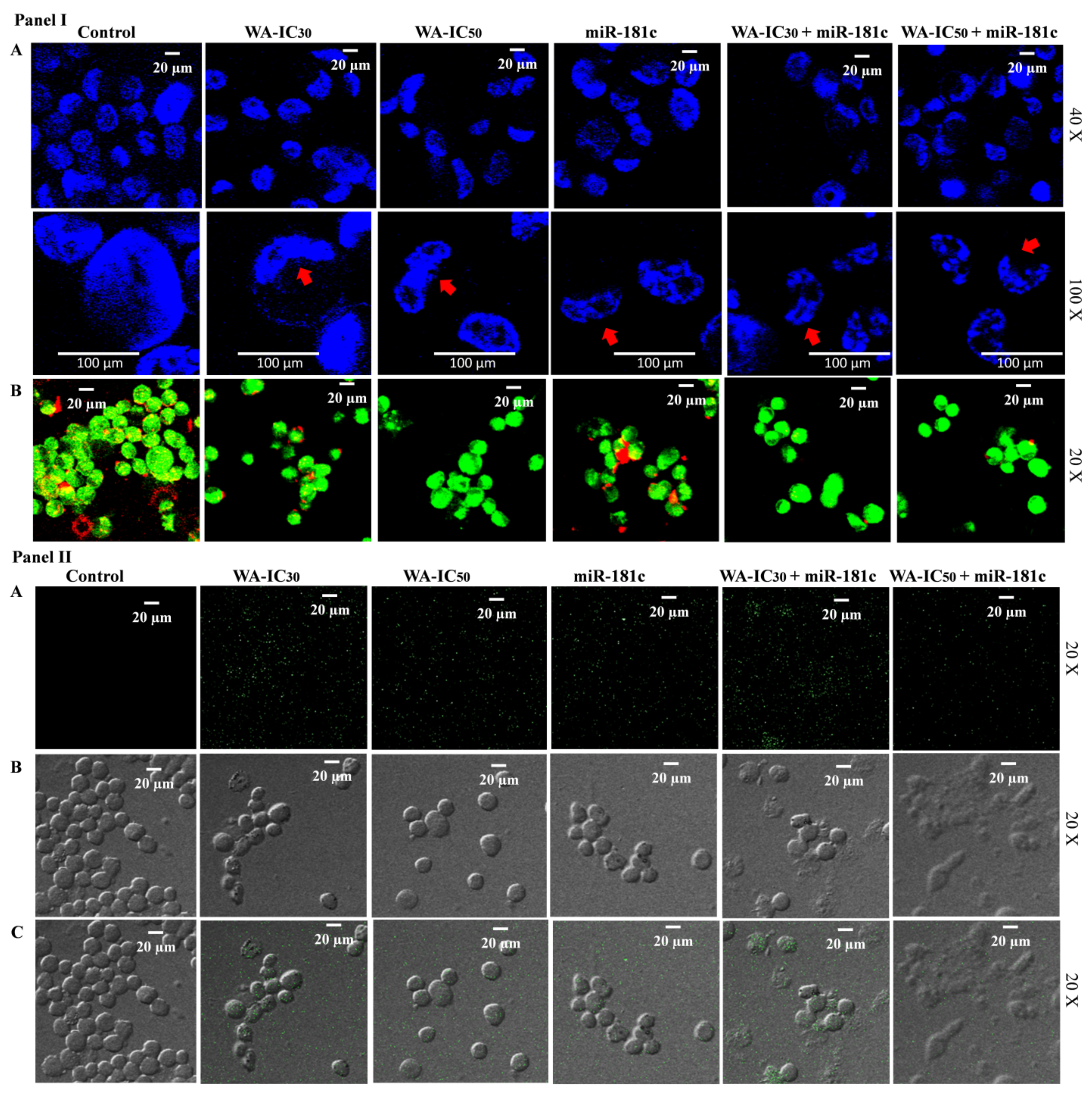 Metabolites 13 00029 g005