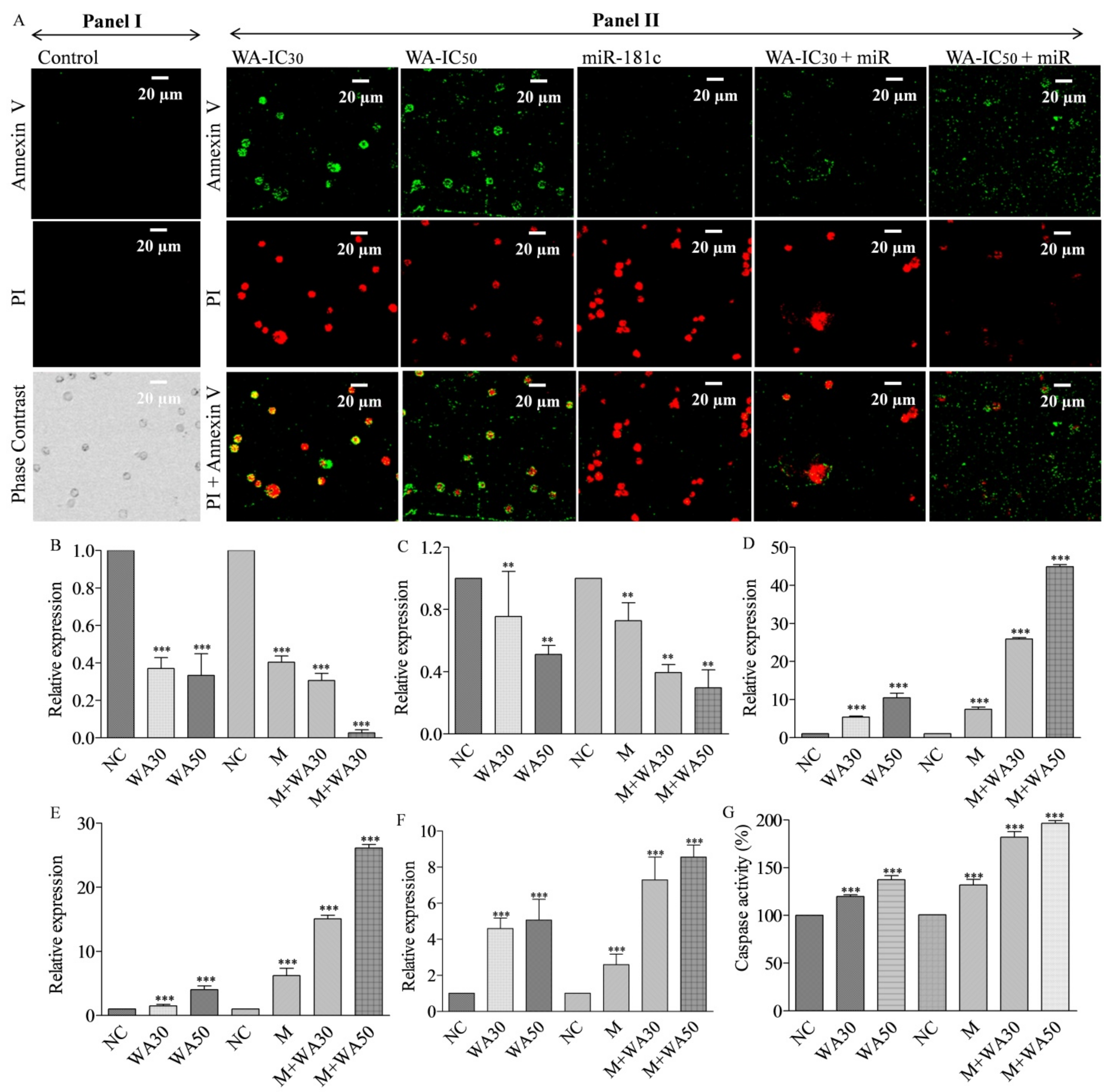 Metabolites 13 00029 g006