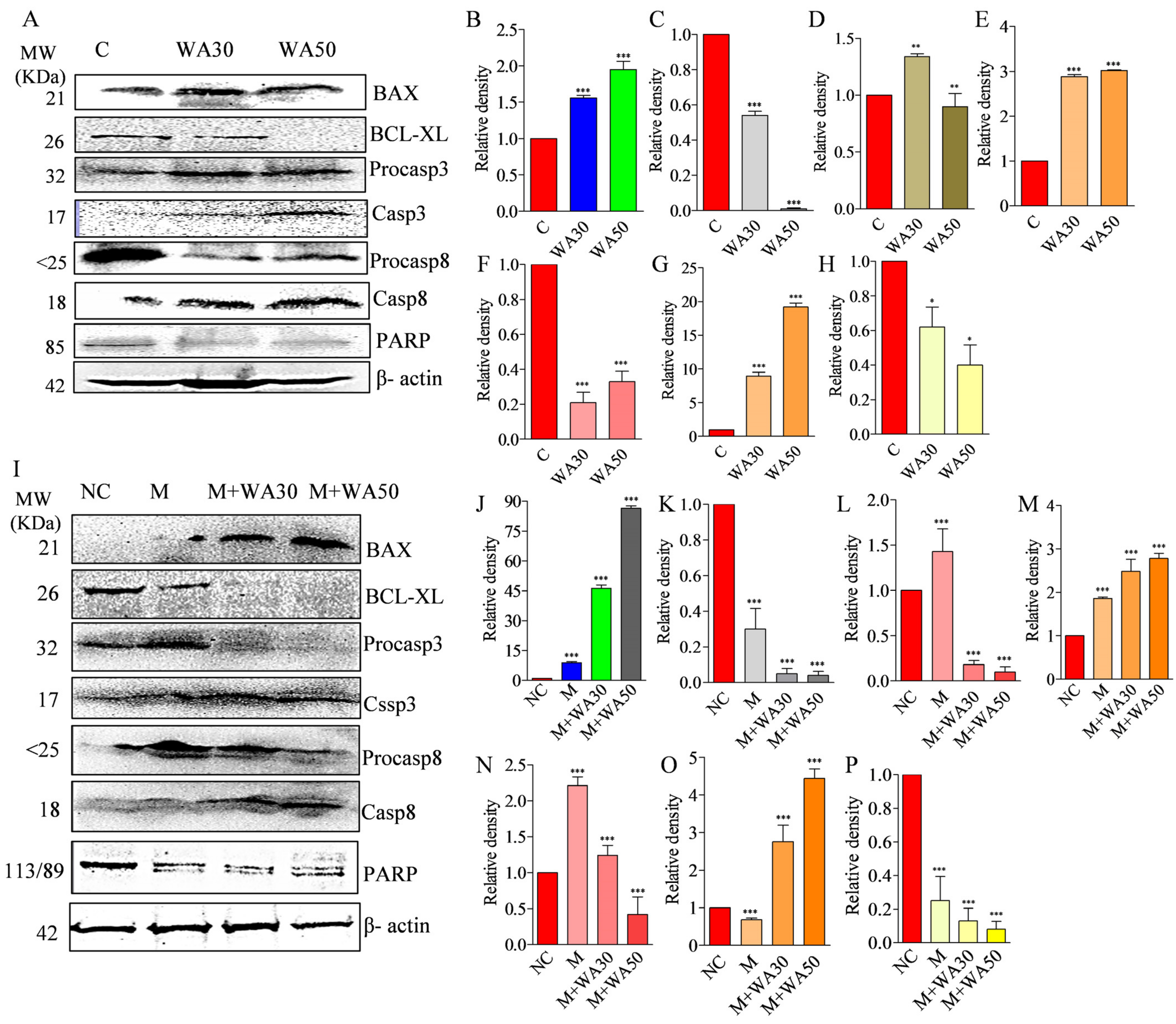 Metabolites 13 00029 g007