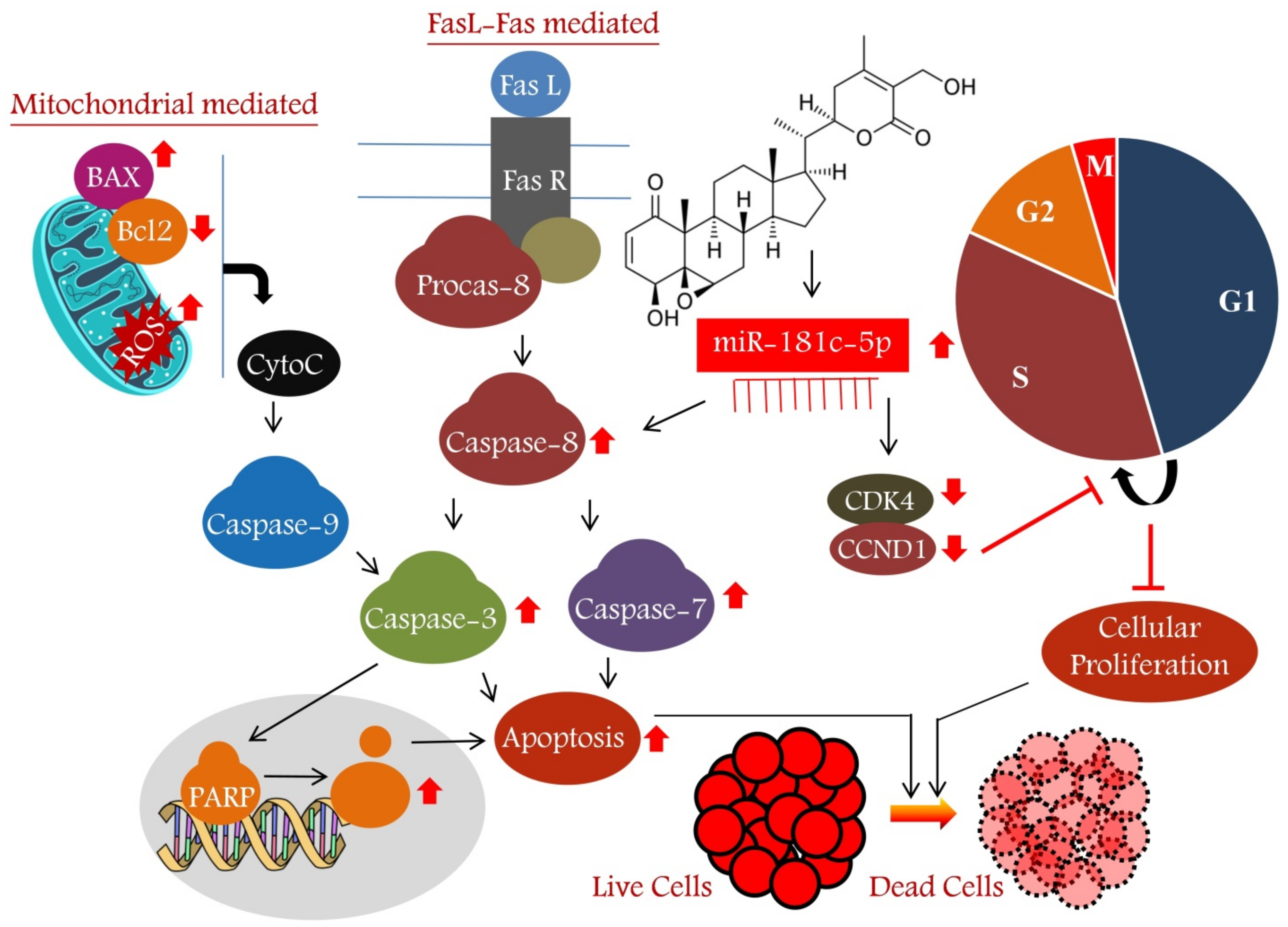 Metabolites 13 00029 g008
