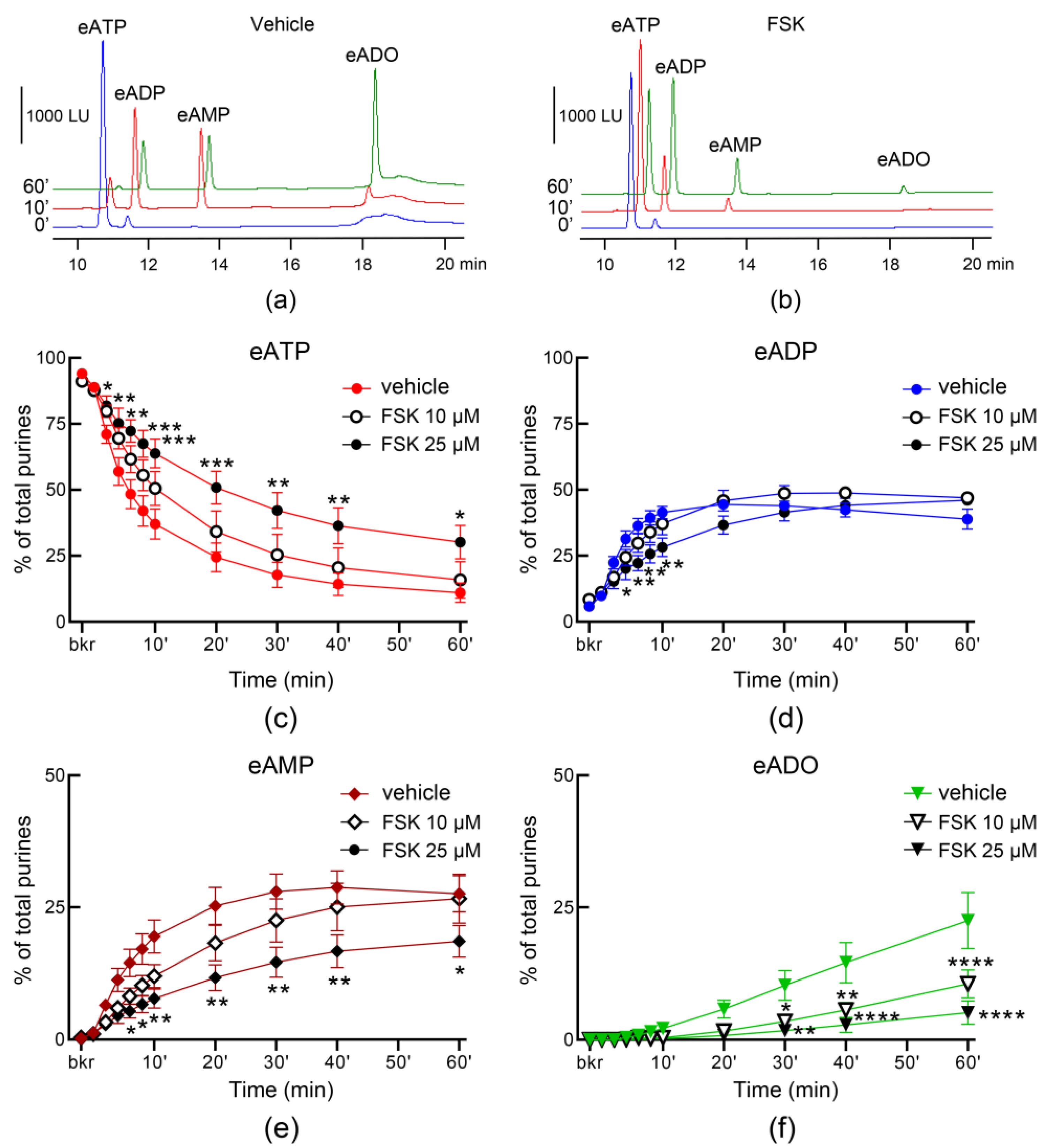 Metabolites 13 00030 g008