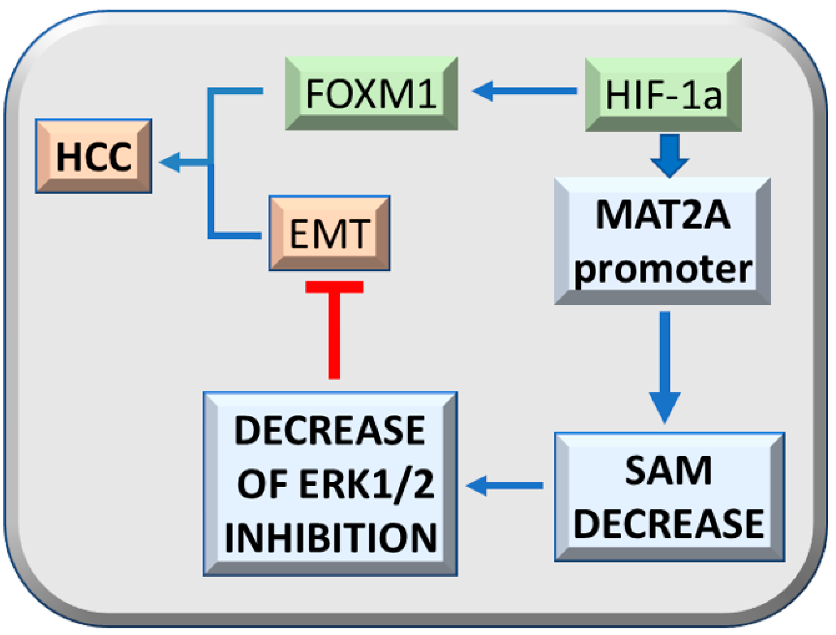 Metabolites 13 00035 g004