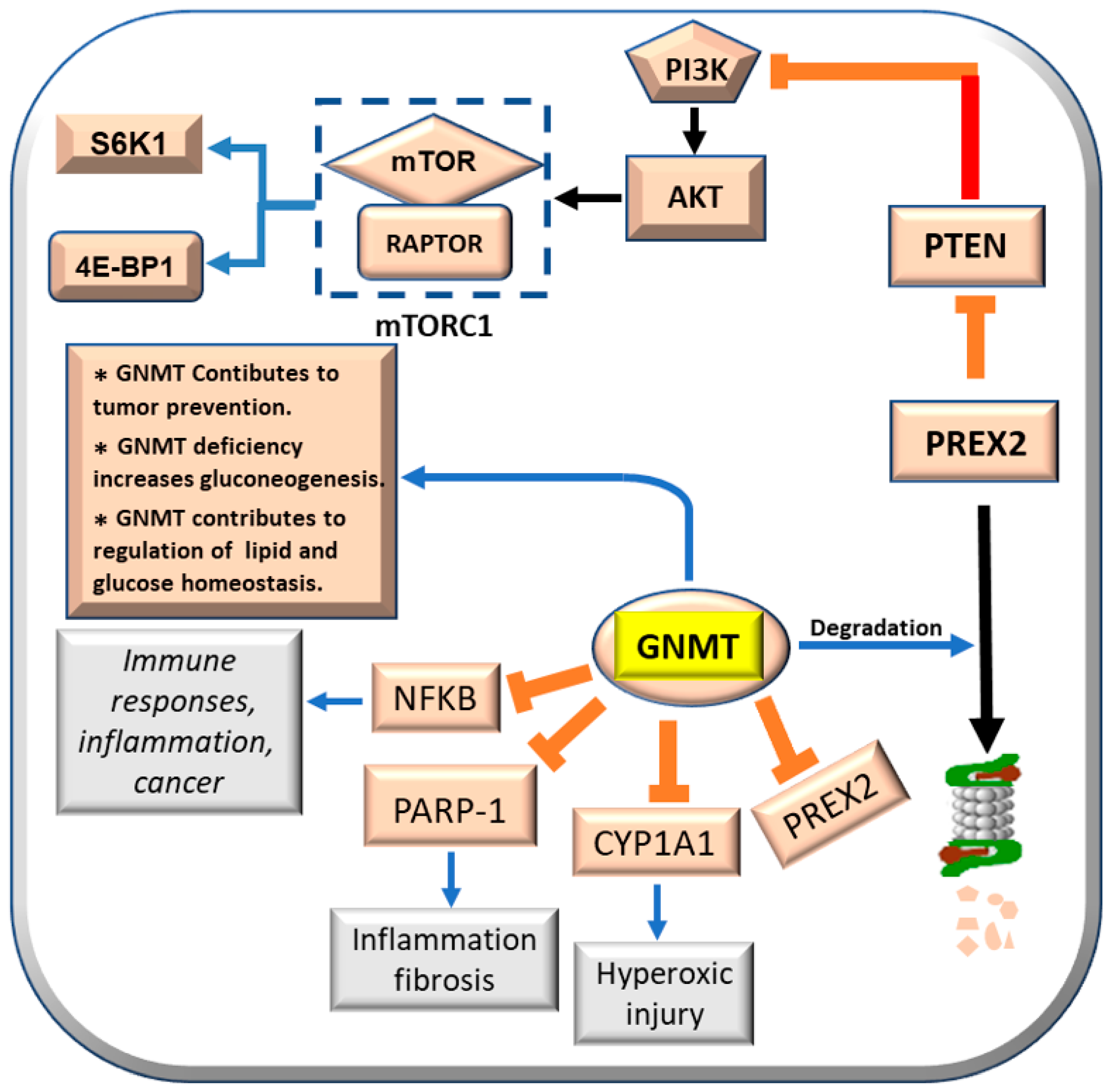 Metabolites 13 00035 g005
