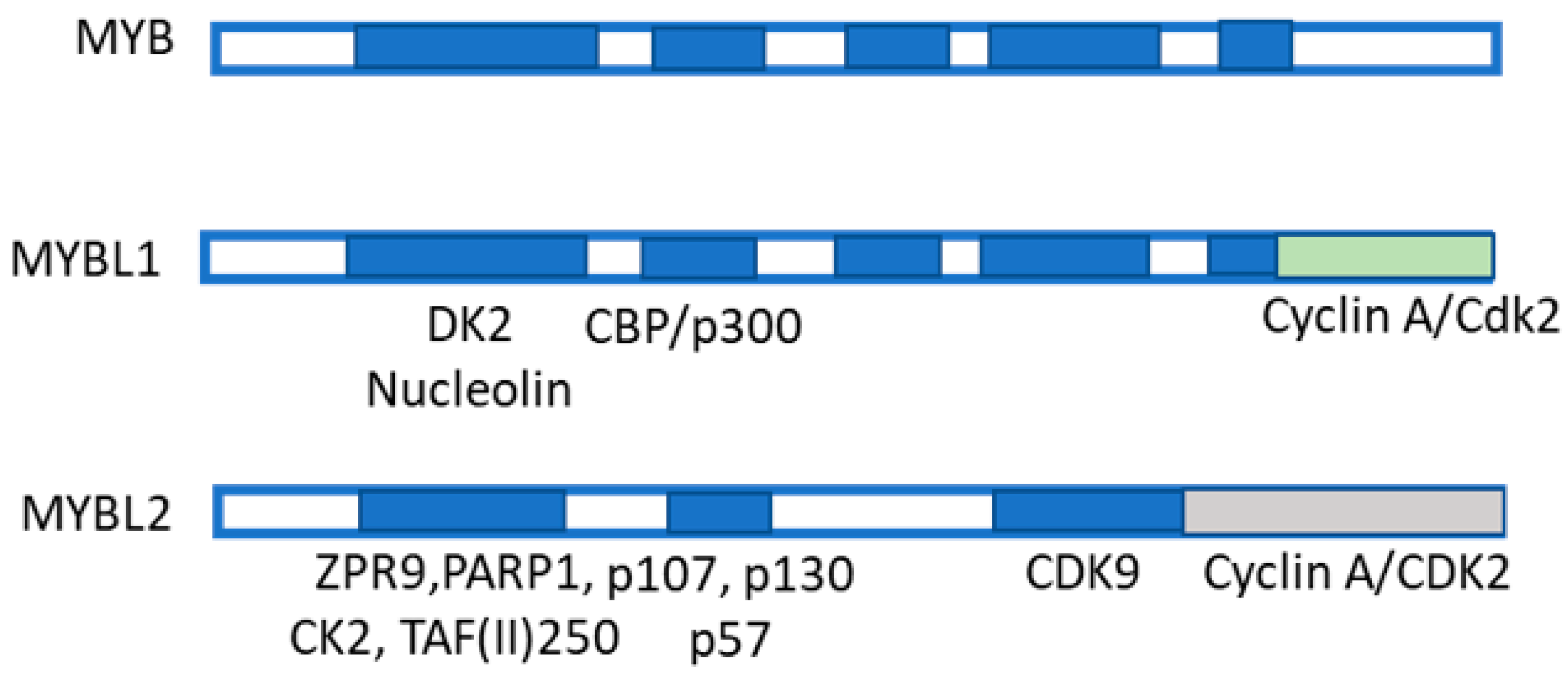 Metabolites 13 00035 g007