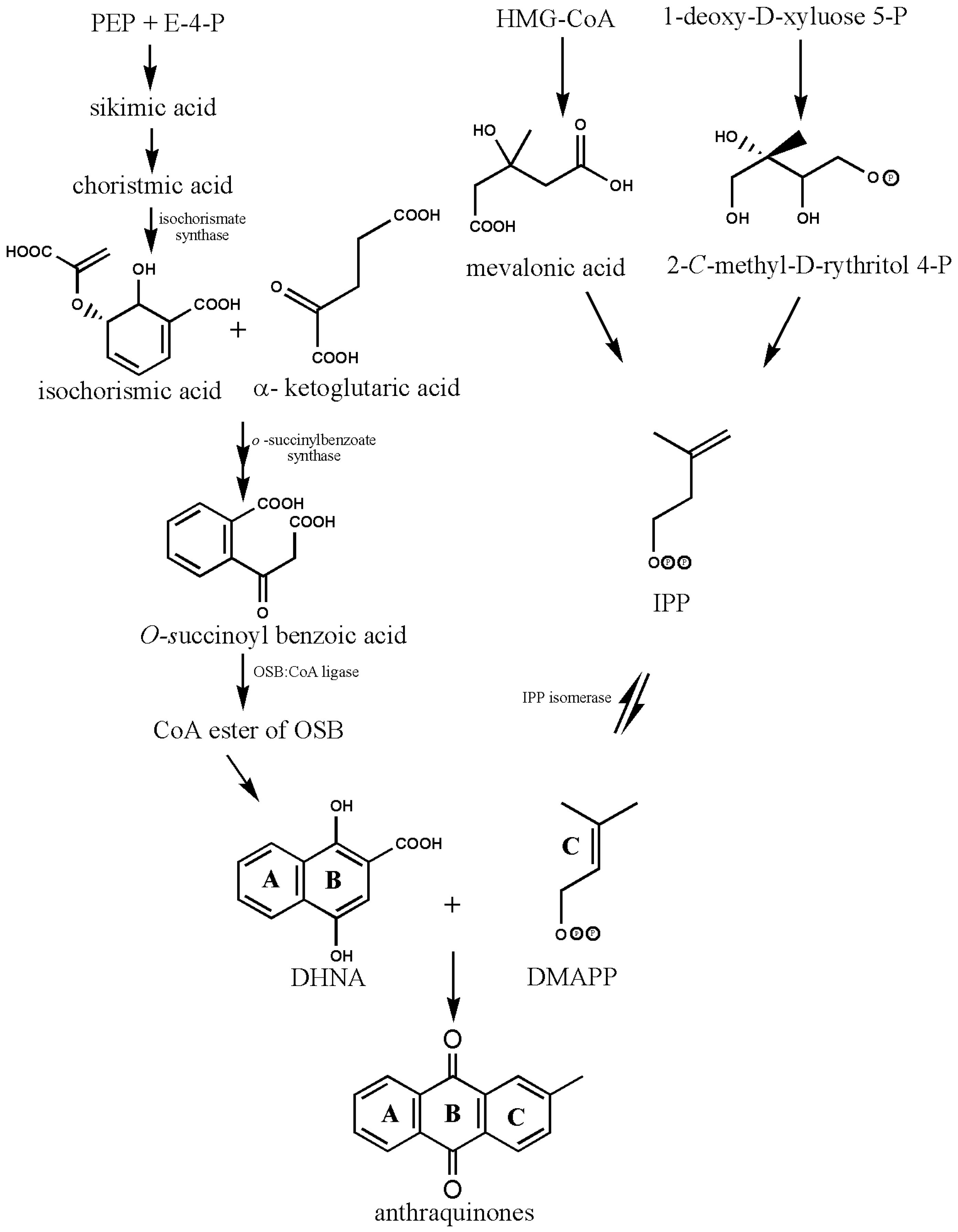 Metabolites 13 00039 g004 Metabolites 13 00039 g004