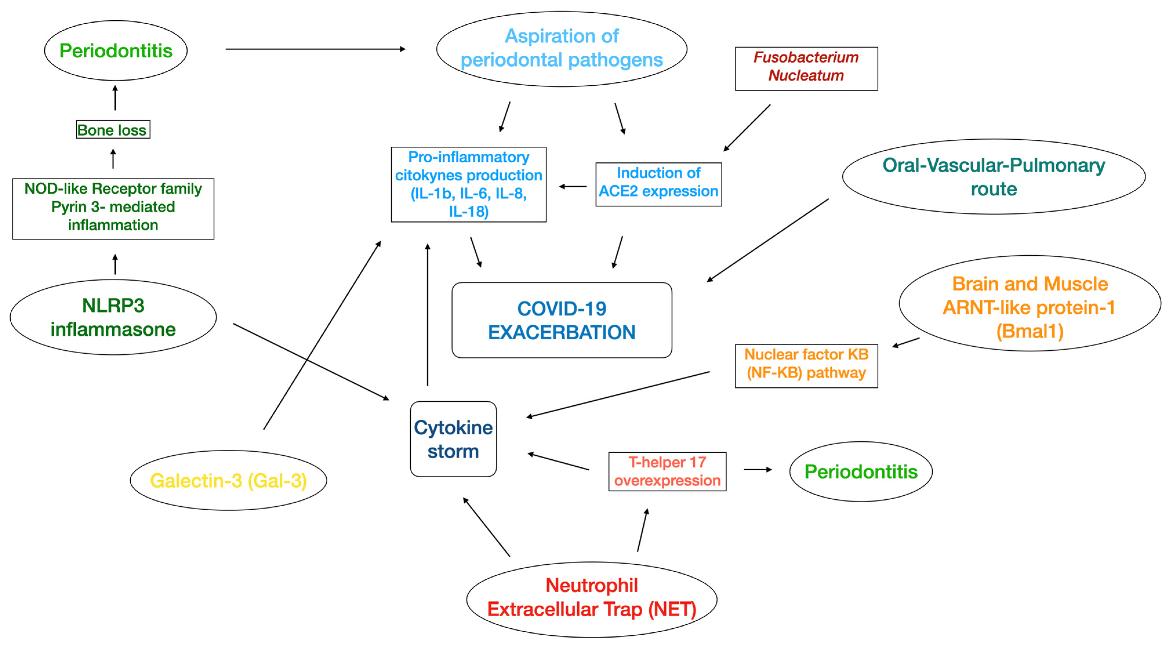 Metabolites 13 00040 g001