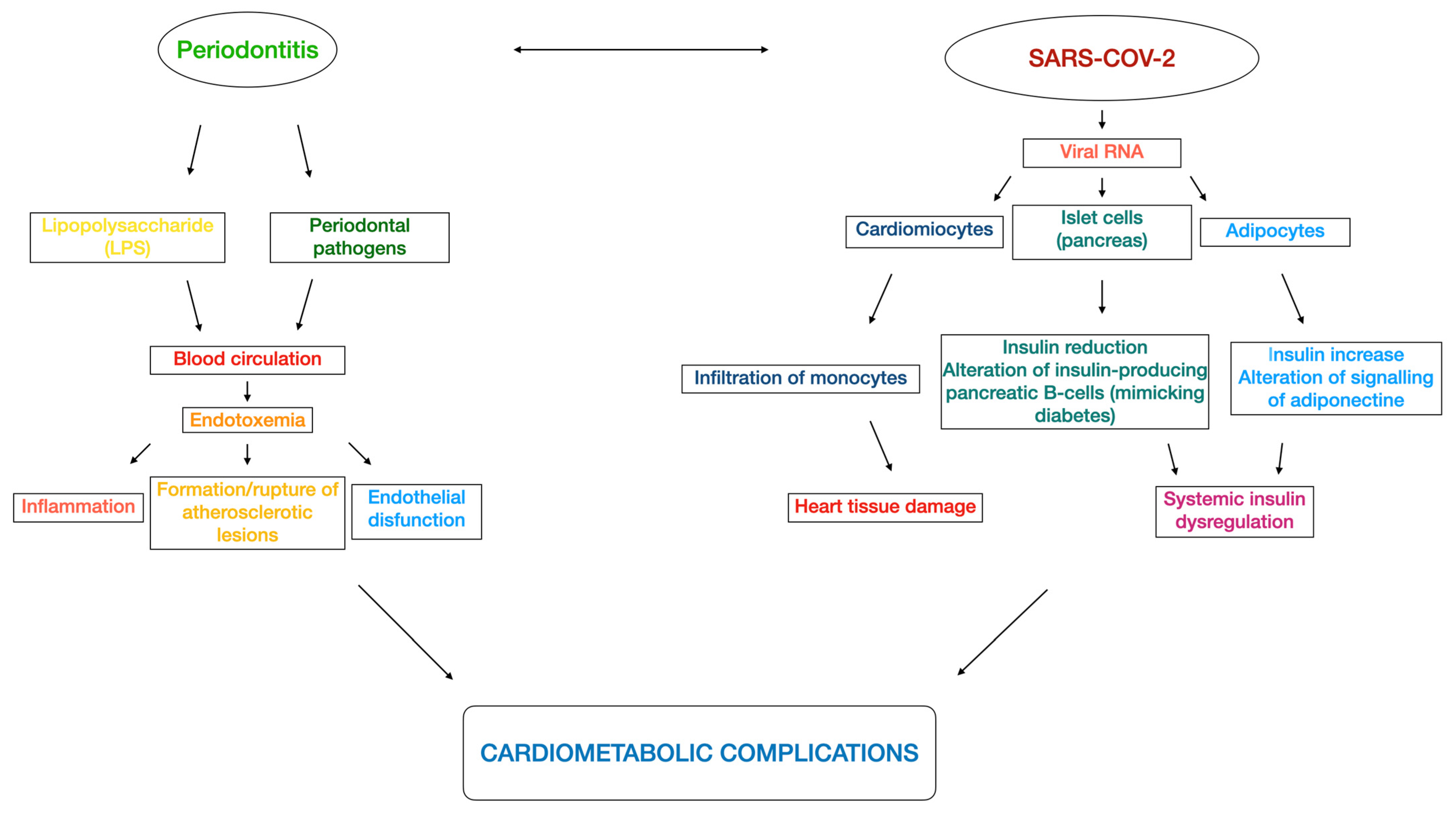 Metabolites 13 00040 g002
