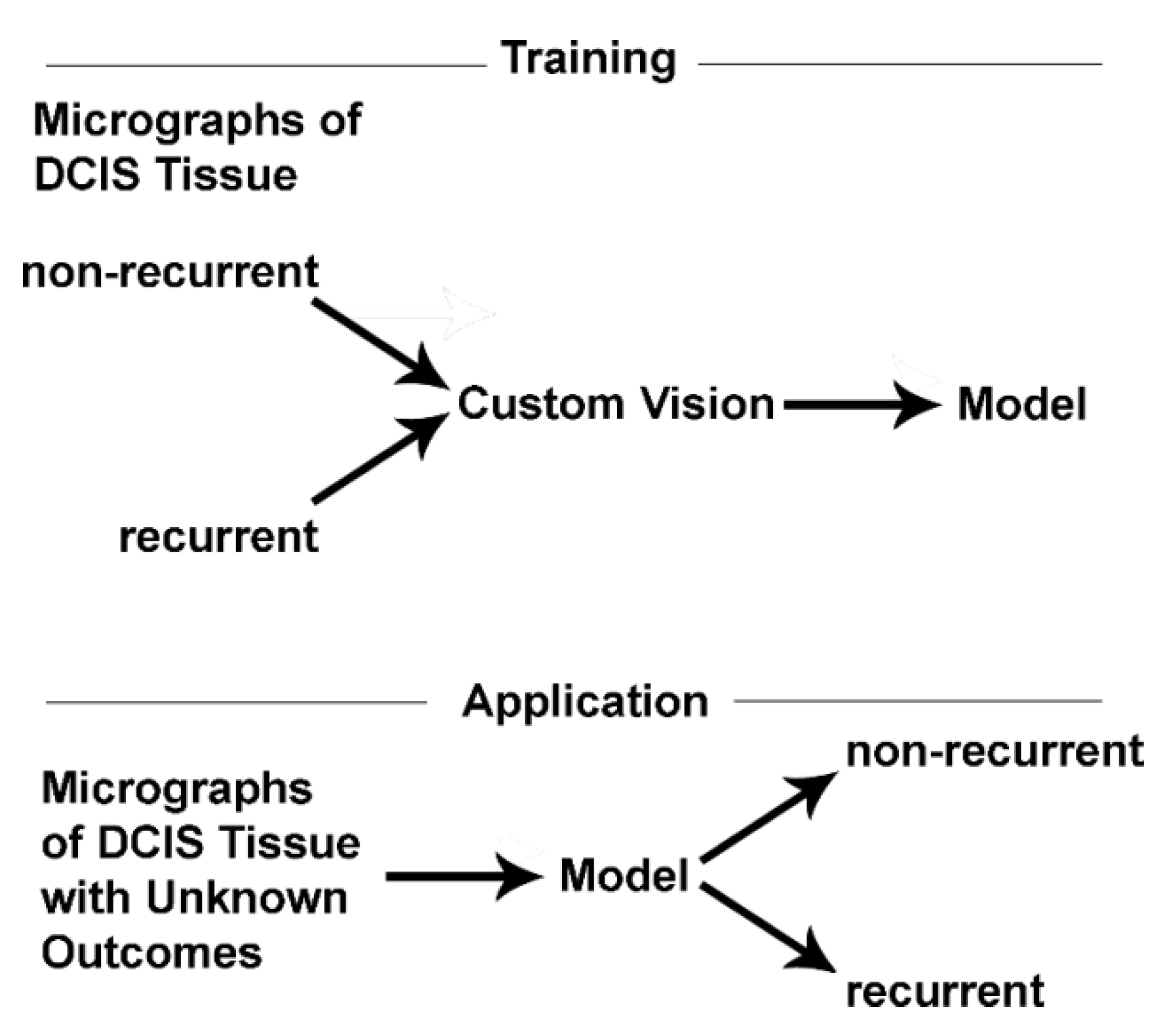 Metabolites 13 00041 g002