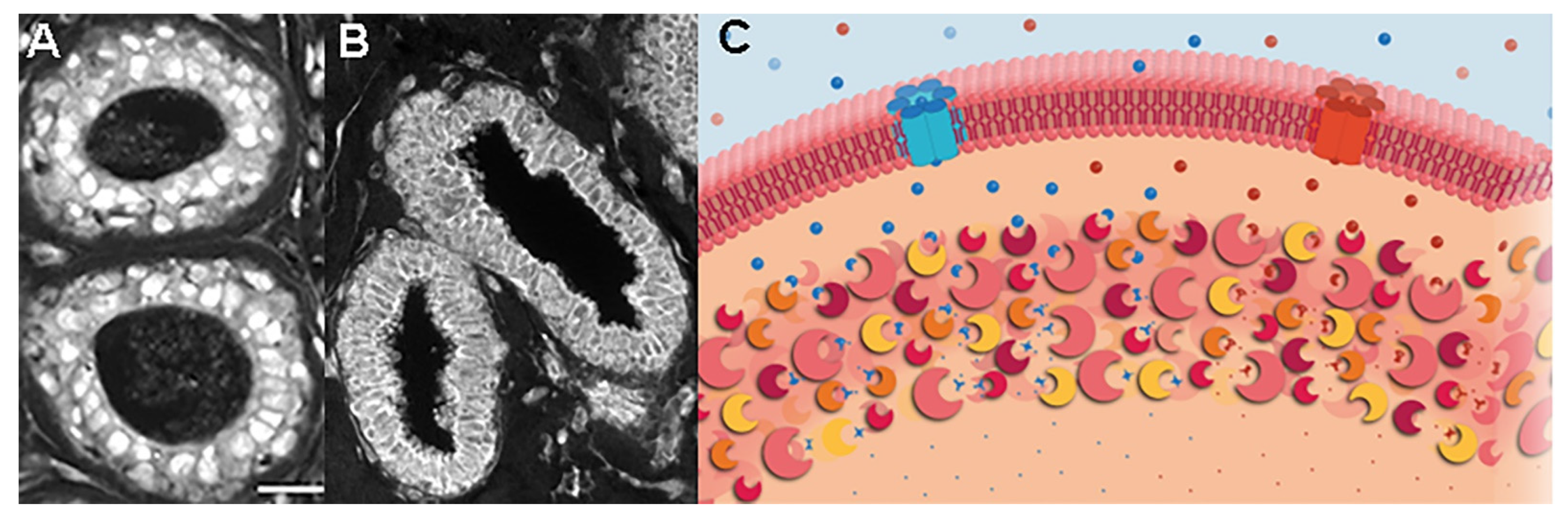 Metabolites 13 00041 g003