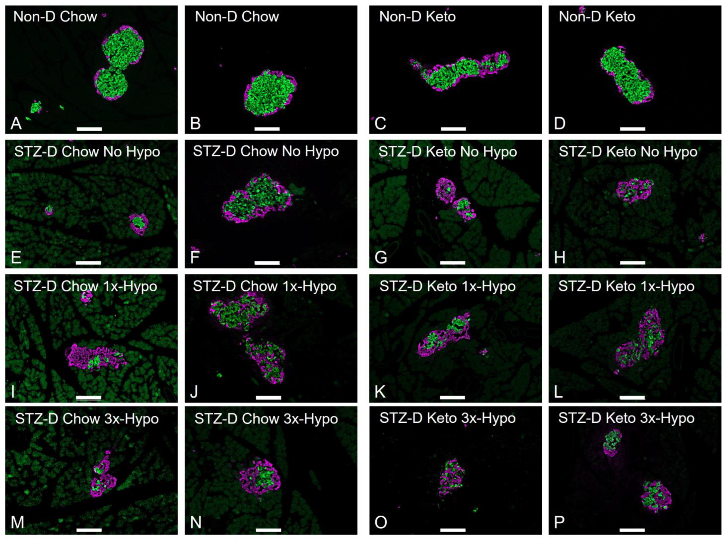 Metabolites 13 00042 g003