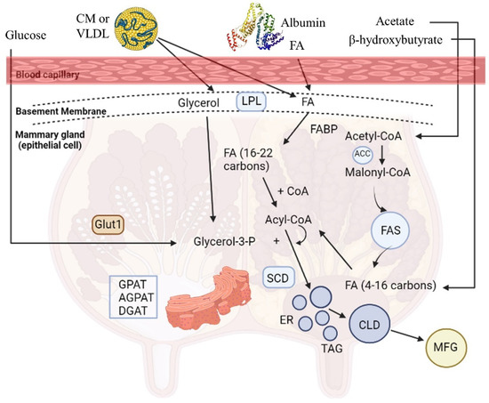 Metabolites 13 00044 g001