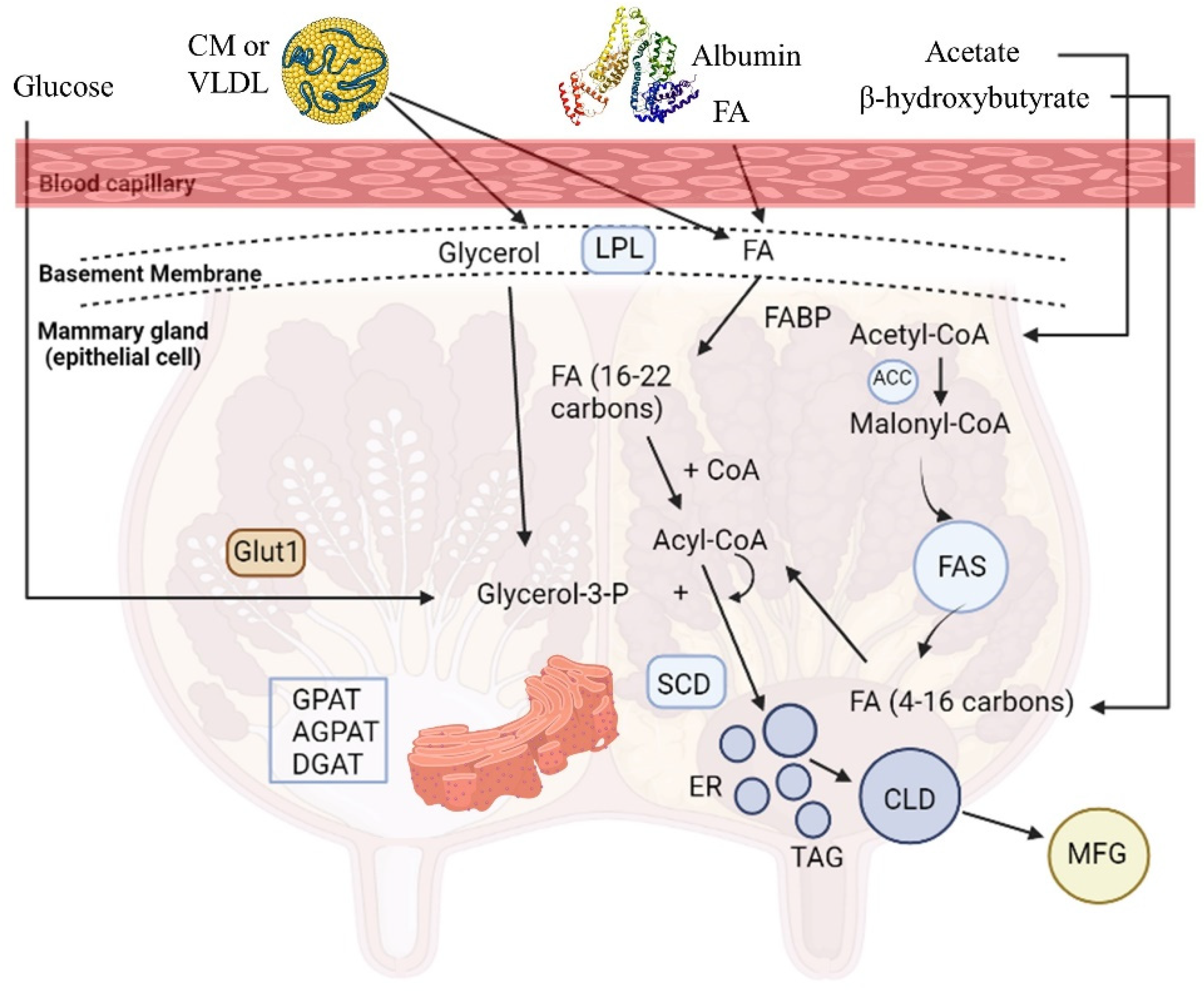 Metabolites 13 00044 g001