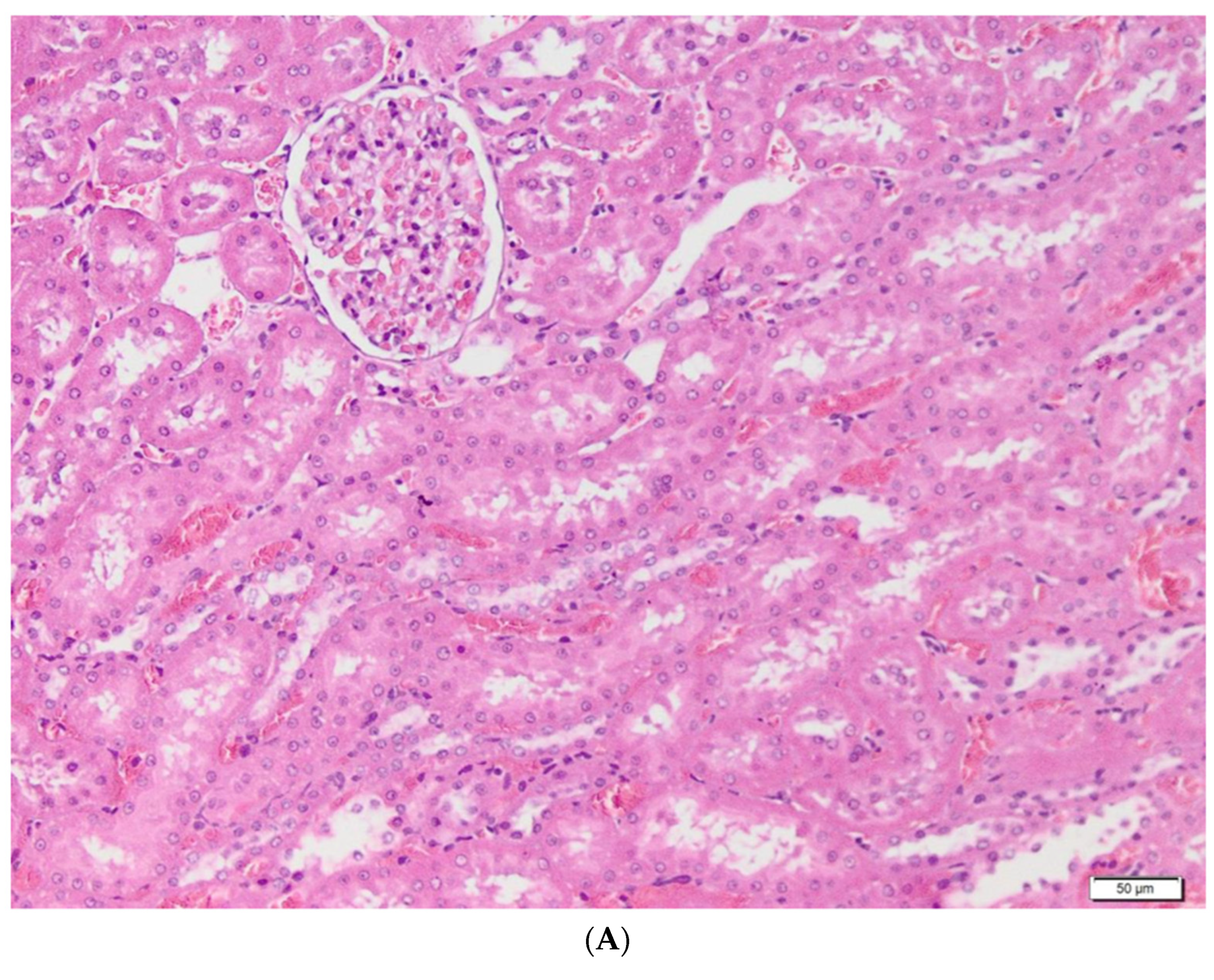 Metabolites 13 00049 g004a
