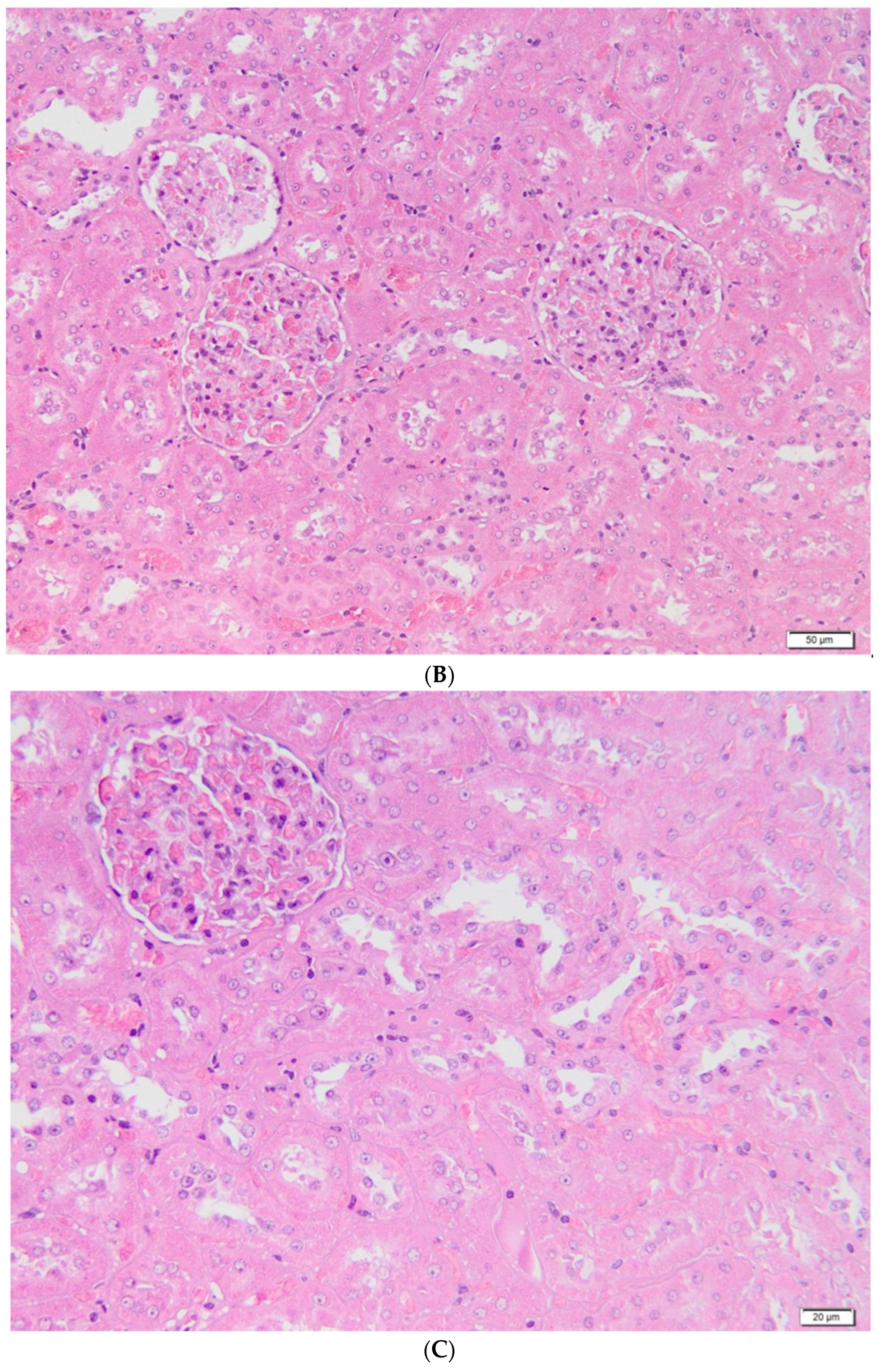 Metabolites 13 00049 g004b