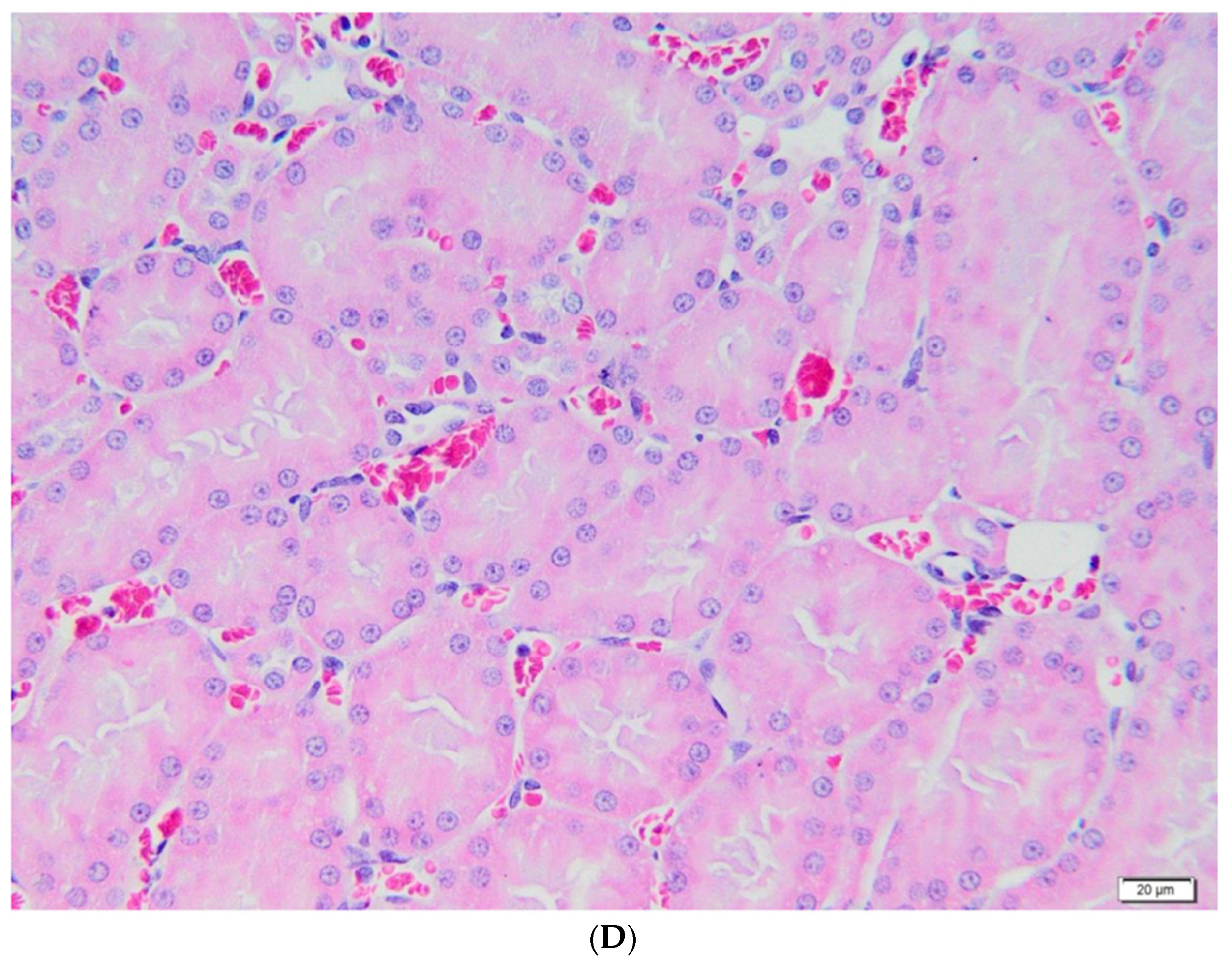 Metabolites 13 00049 g004c