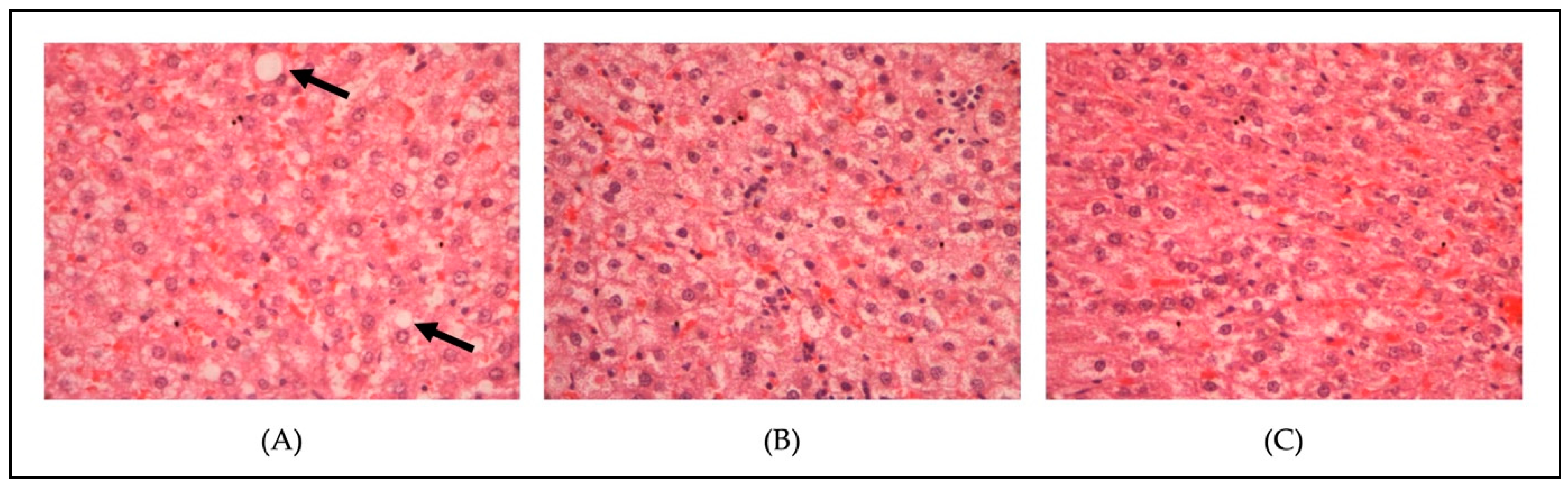 Metabolites 13 00053 g005