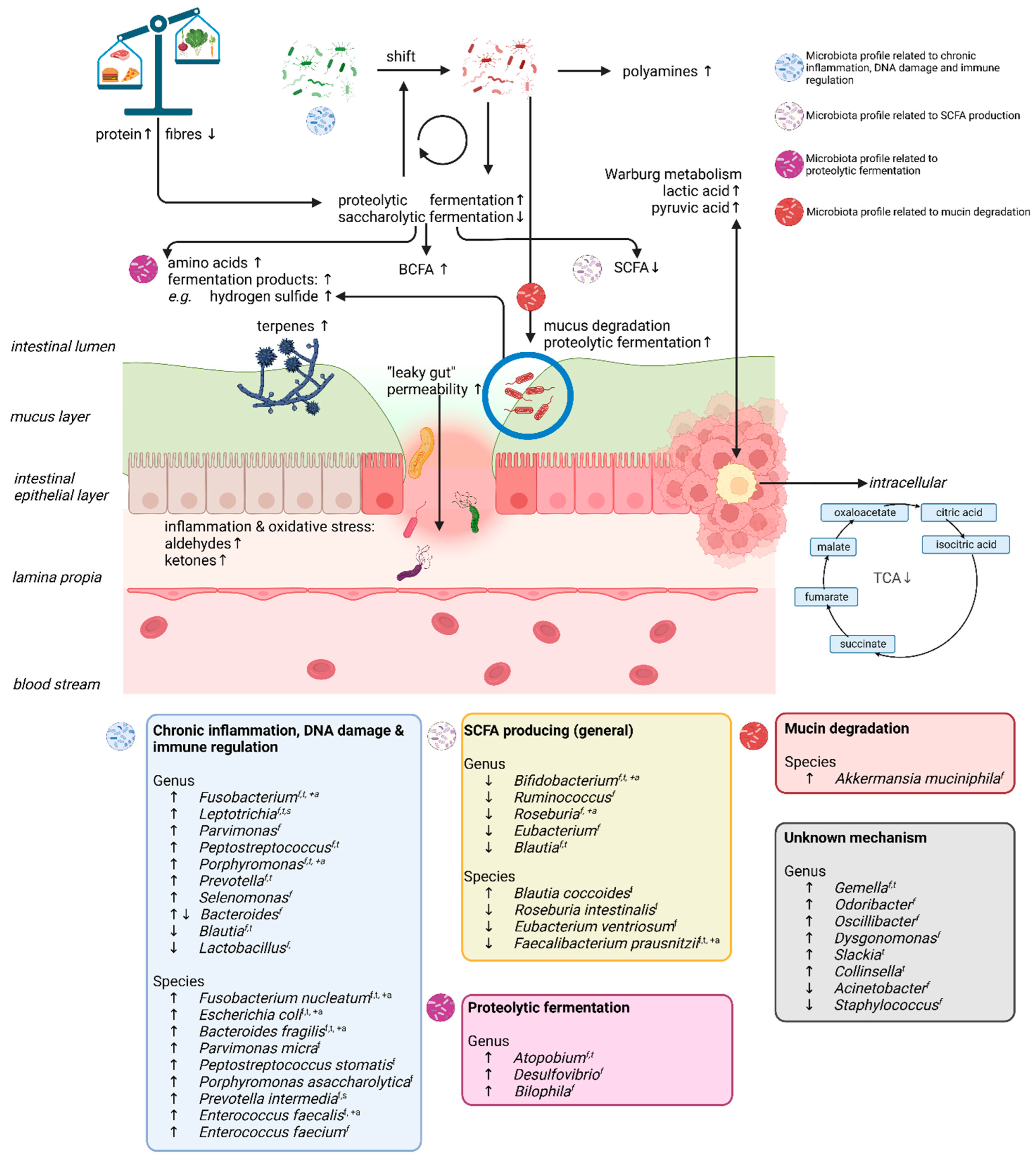 Metabolites 13 00055 g002