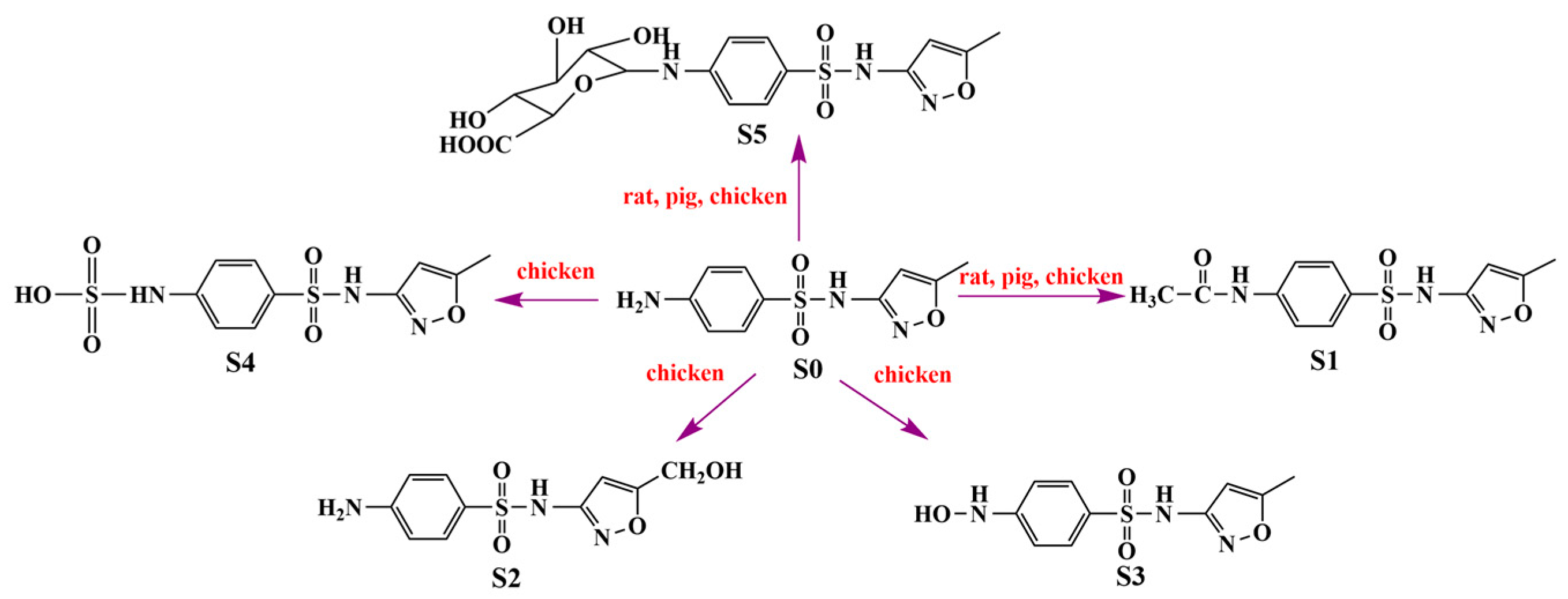 Metabolites 13 00057 g005 Metabolites 13 00057 g005