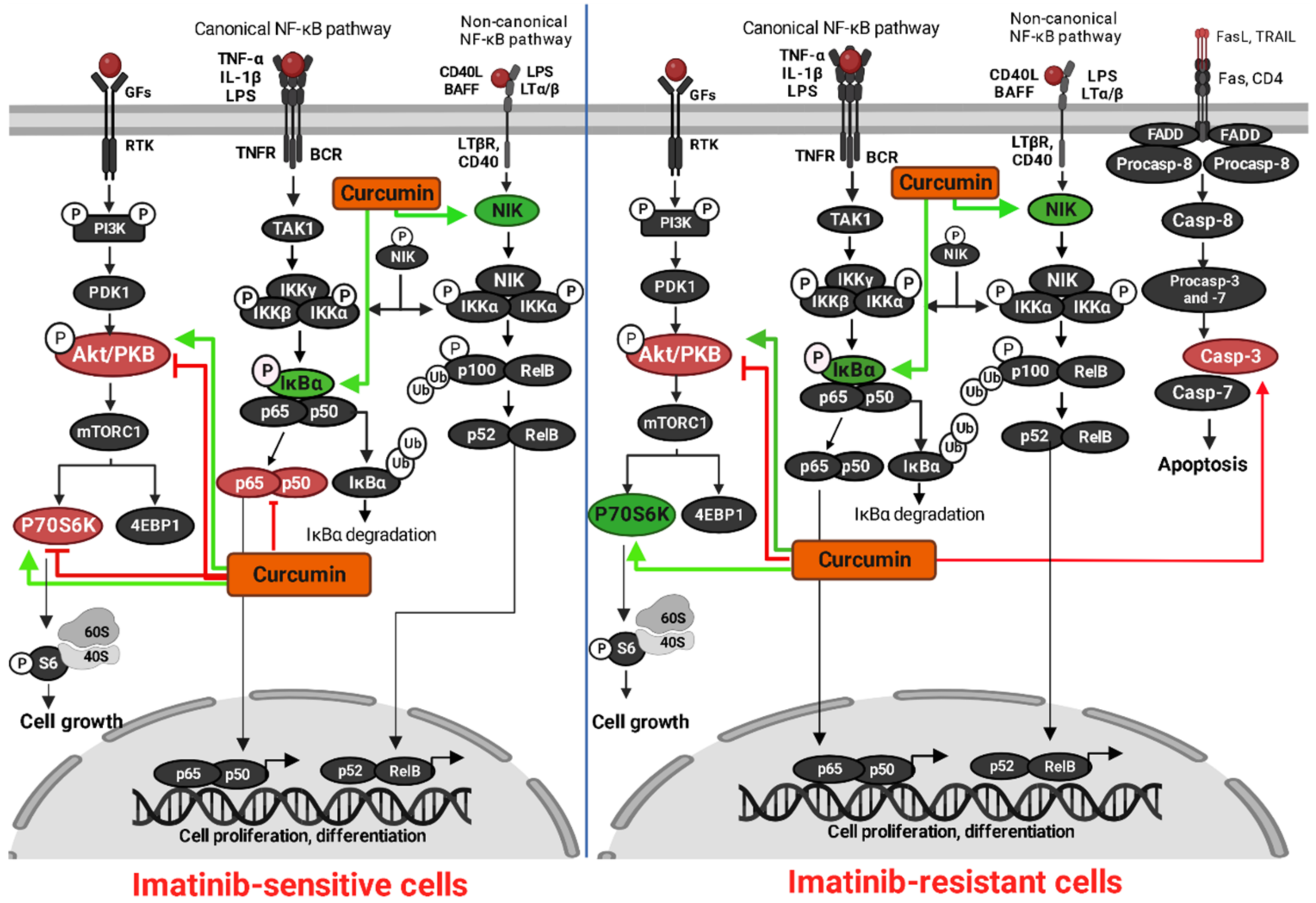 Metabolites 13 00058 g006
