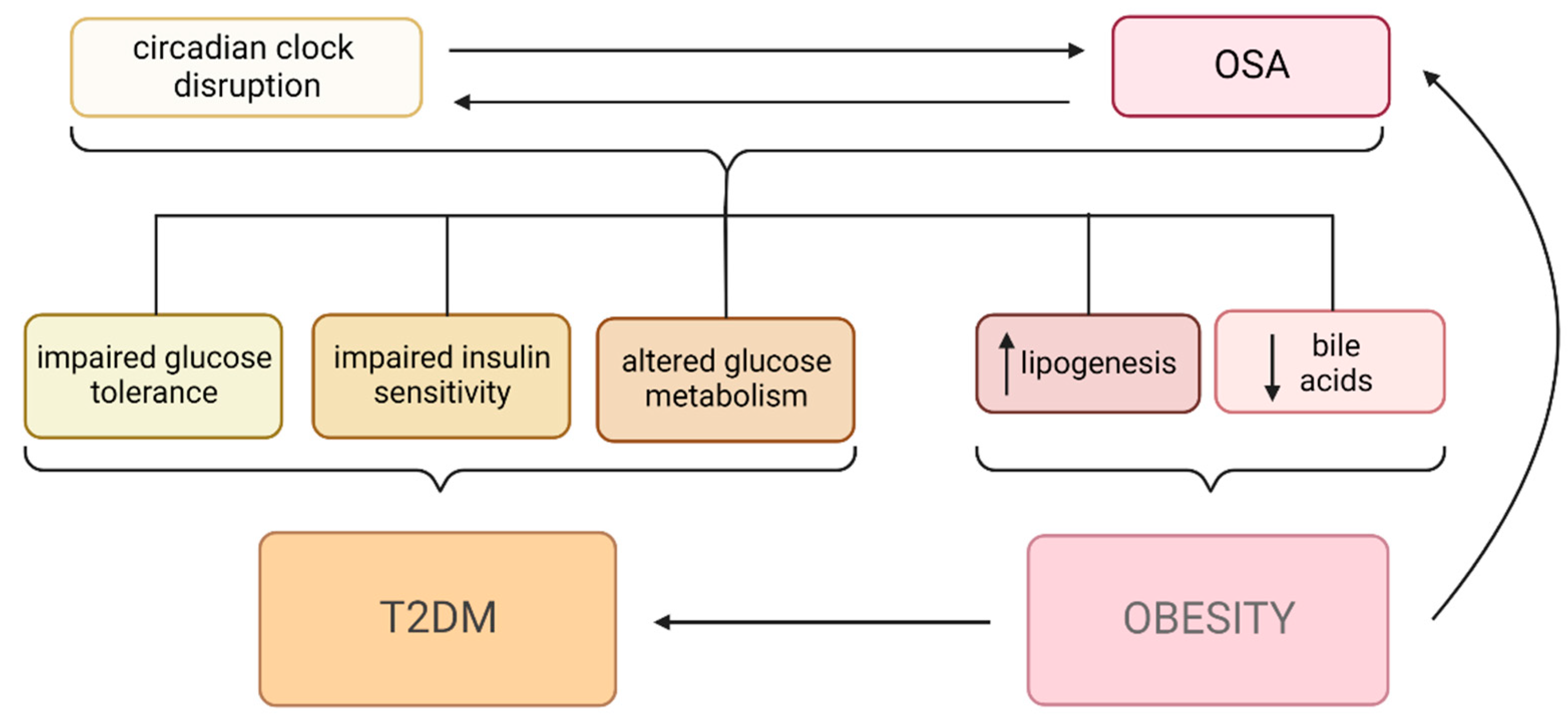 Metabolites 13 00060 g004