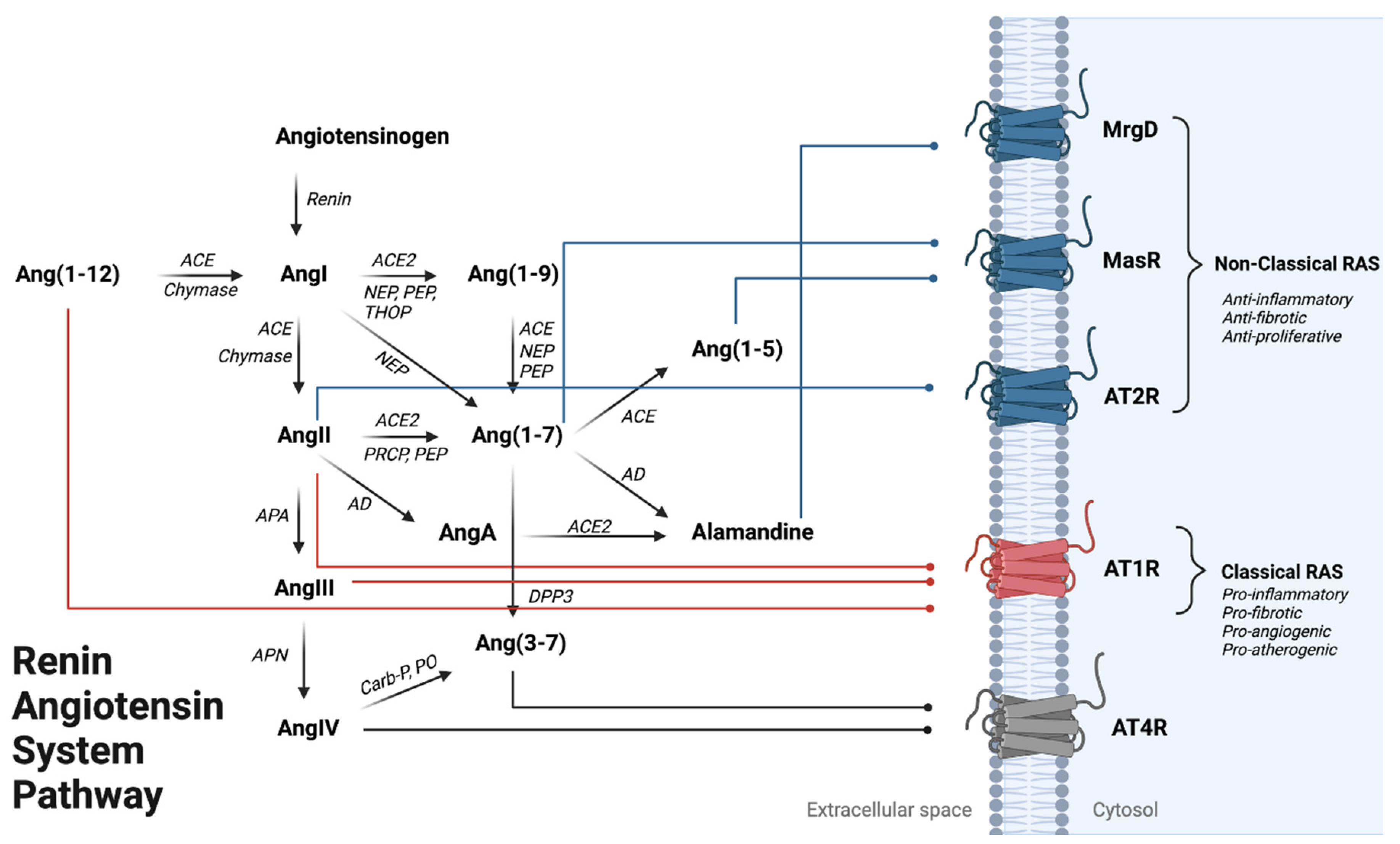 Metabolites 13 00061 g001