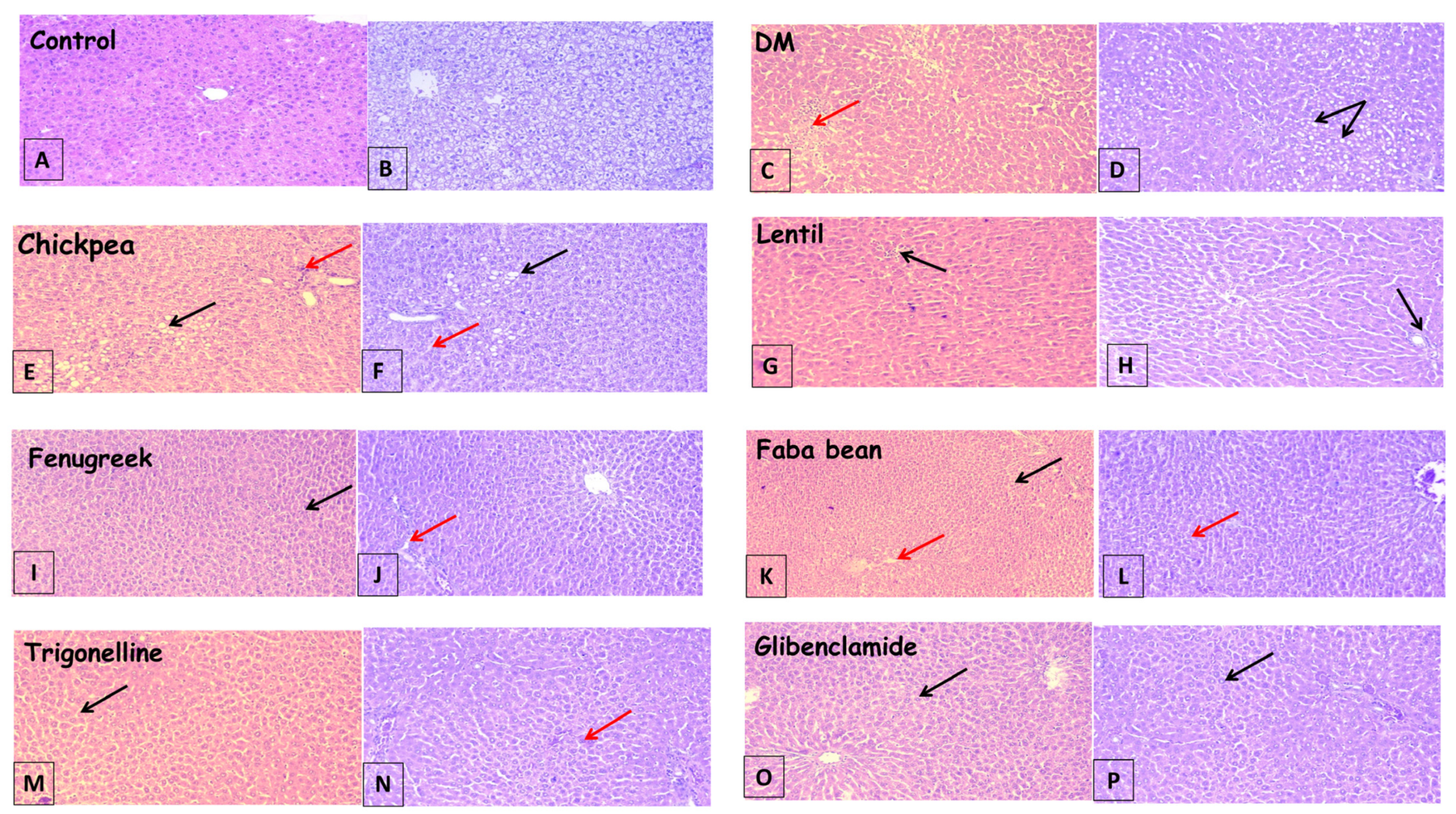 Metabolites 13 00063 g002