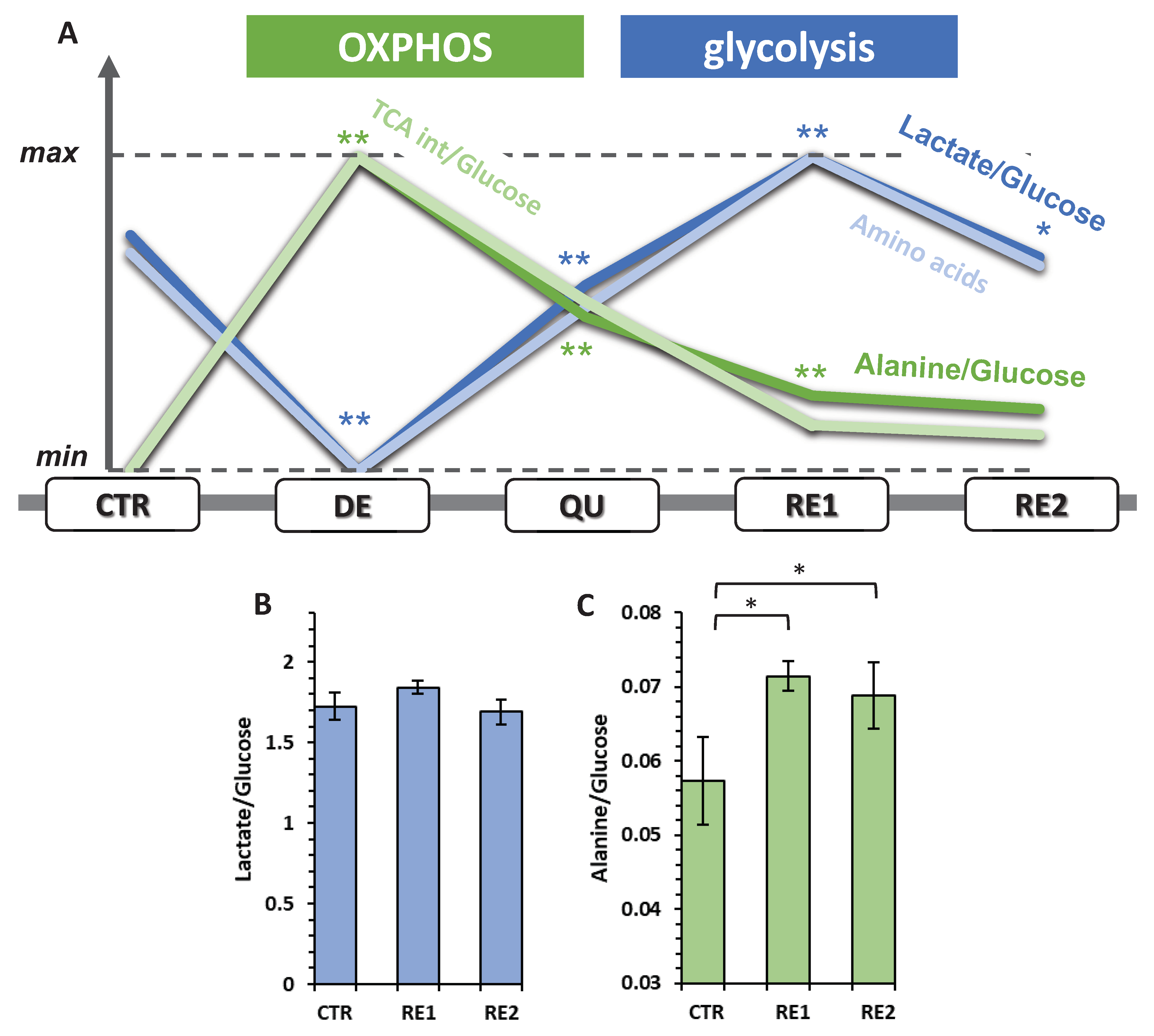 Metabolites 13 00065 g008