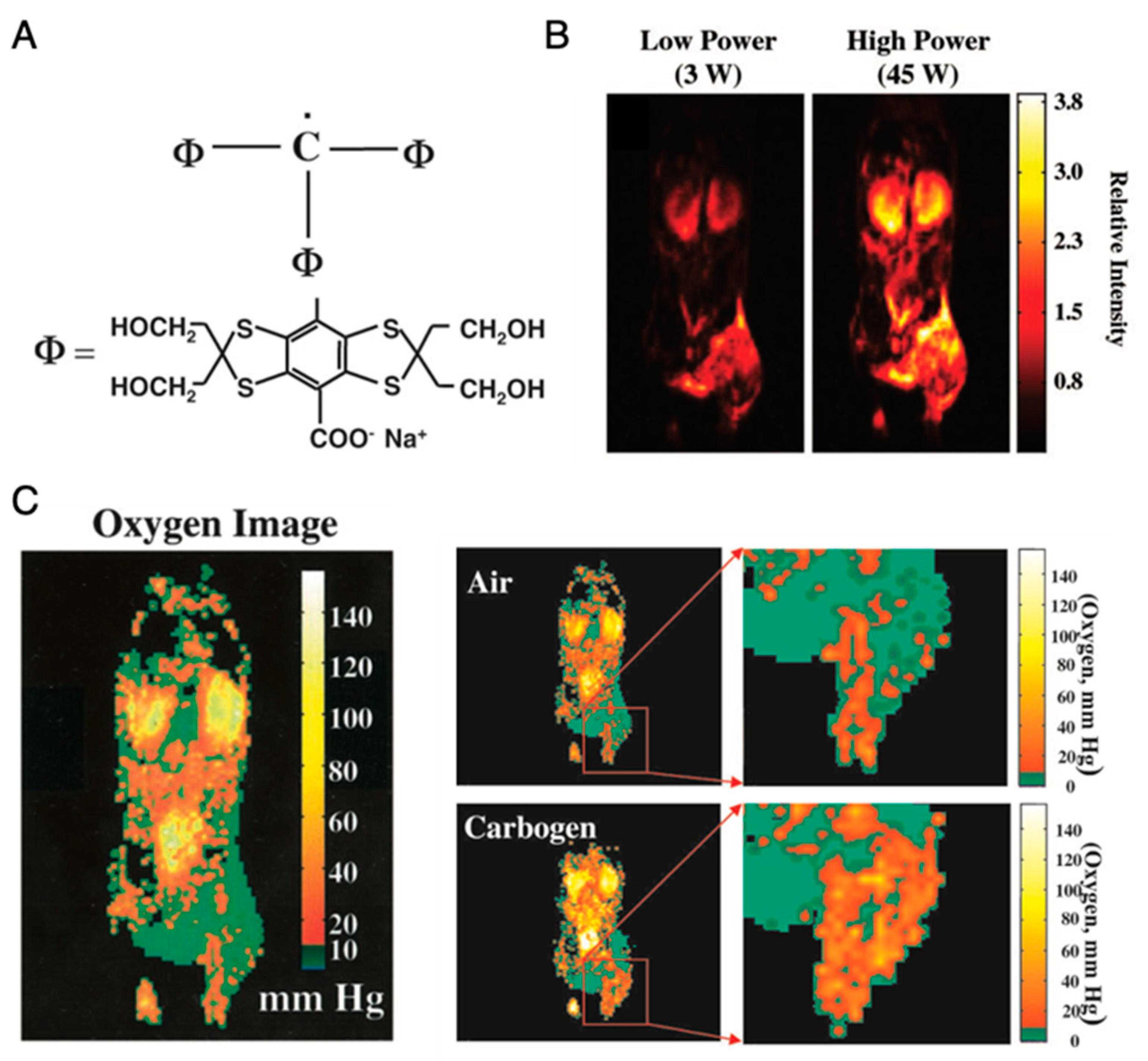 Metabolites 13 00069 g008