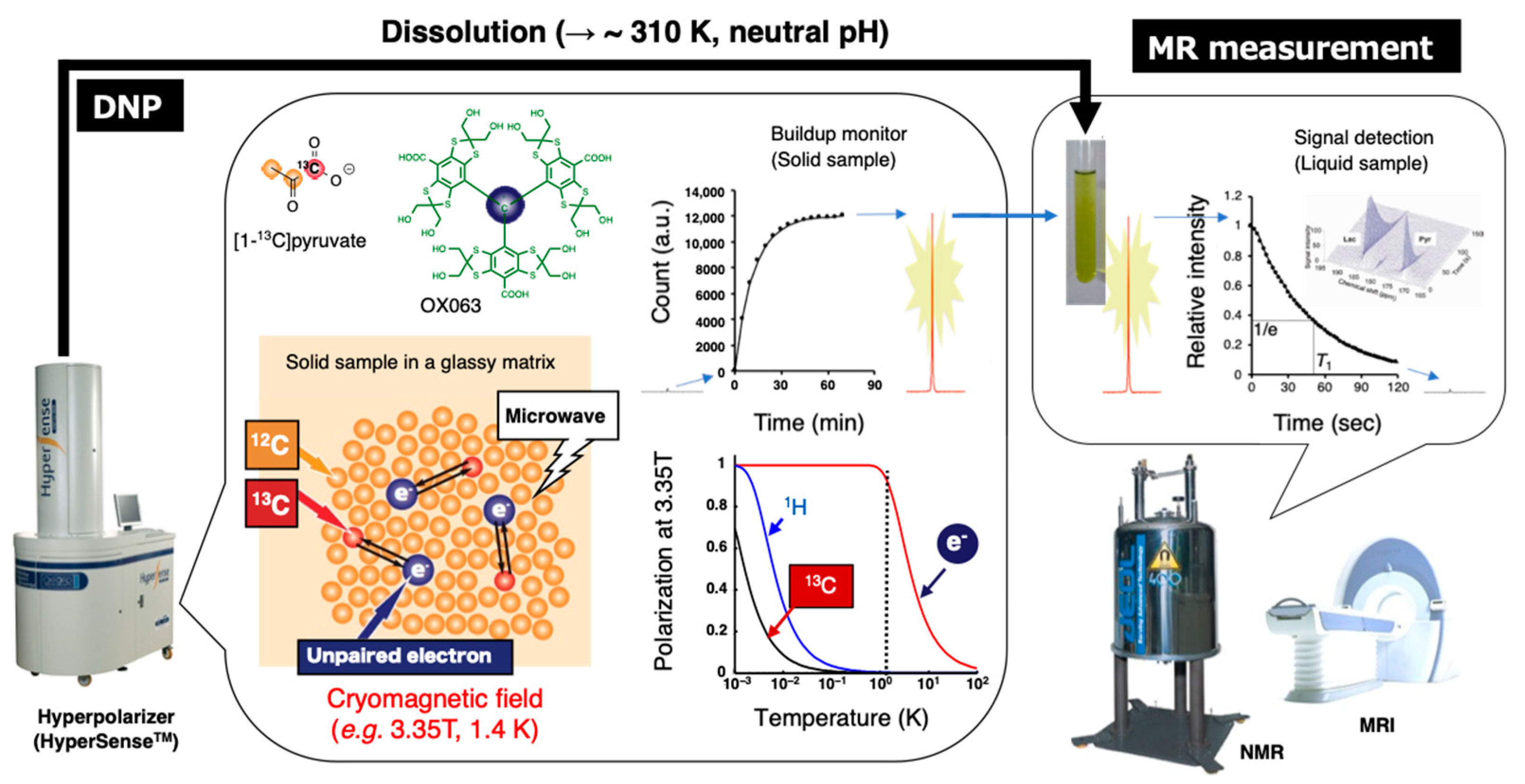 Metabolites 13 00069 g009