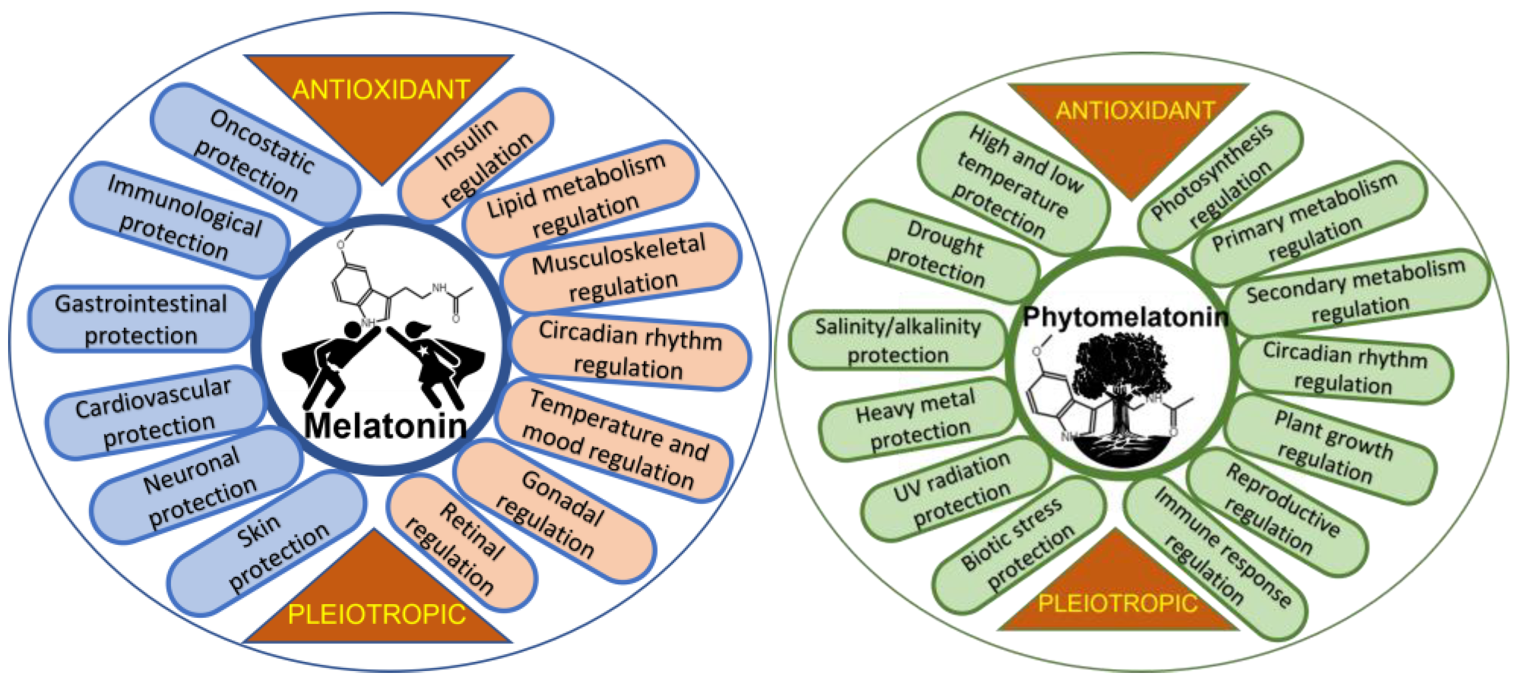 Metabolites 13 00072 g001